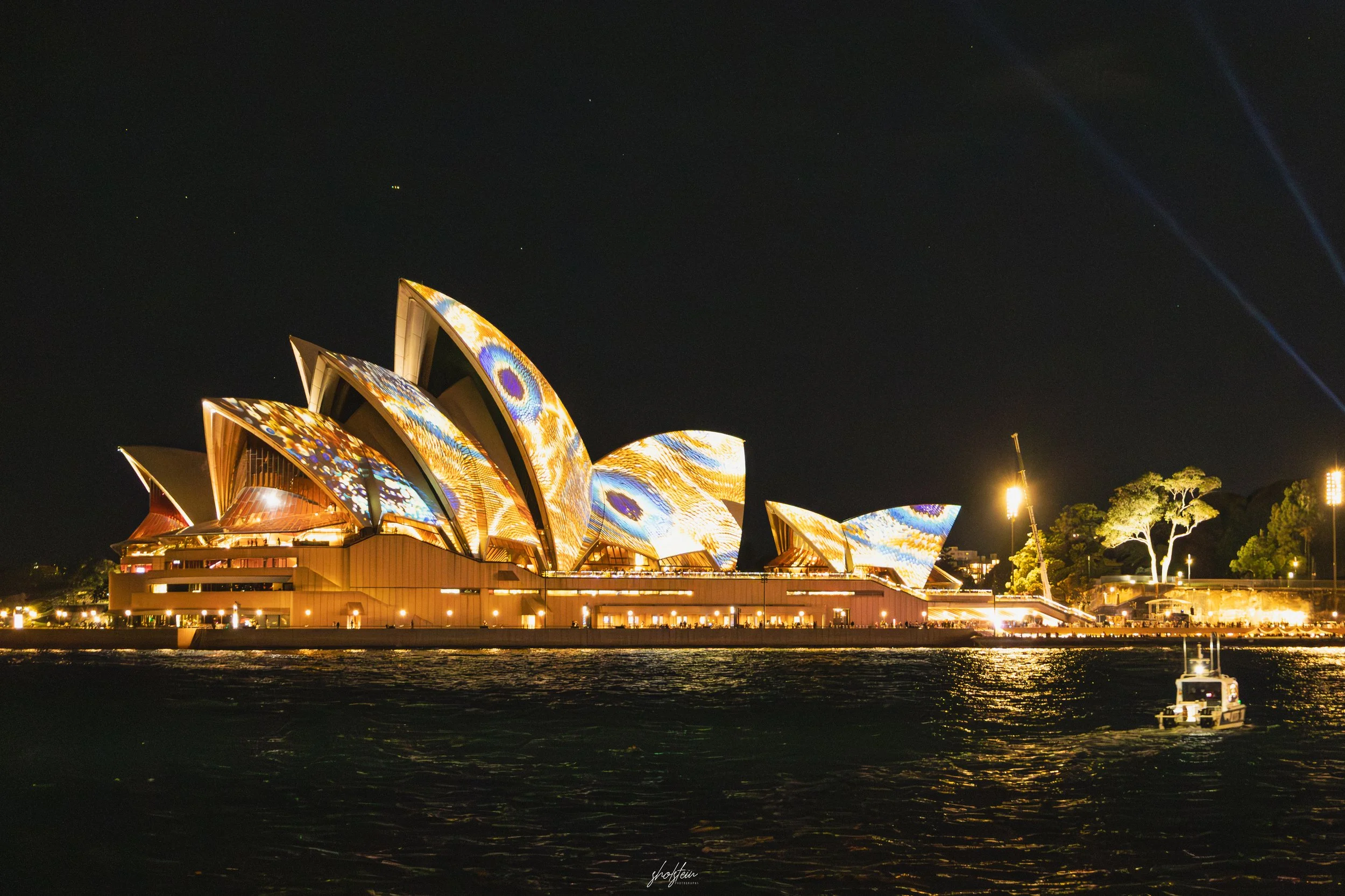 Vivid-Sony Cruise 3-6-26-1-4-l.jpg