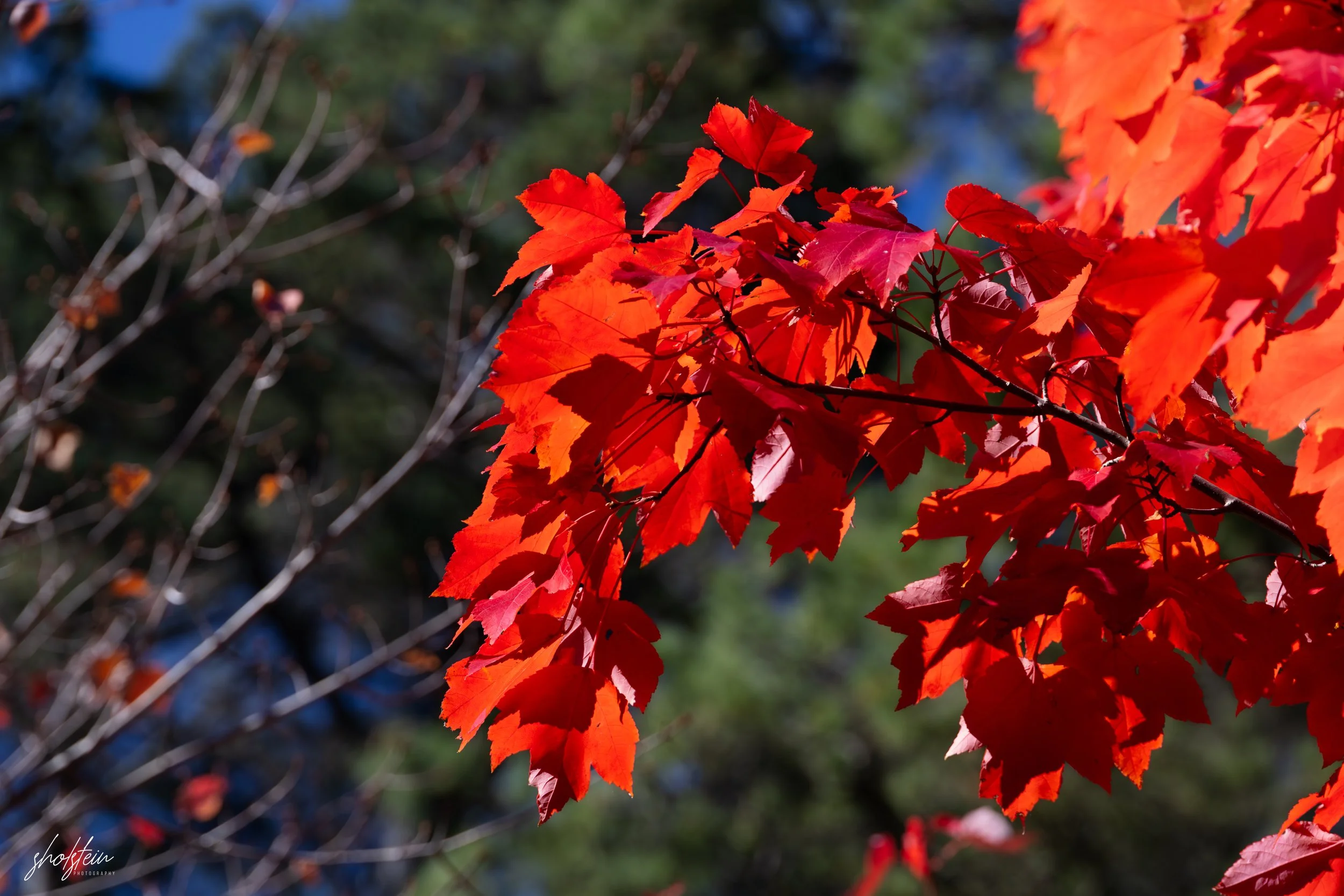 Bowral-Mittagong 26-4-26-1-17-l.jpg