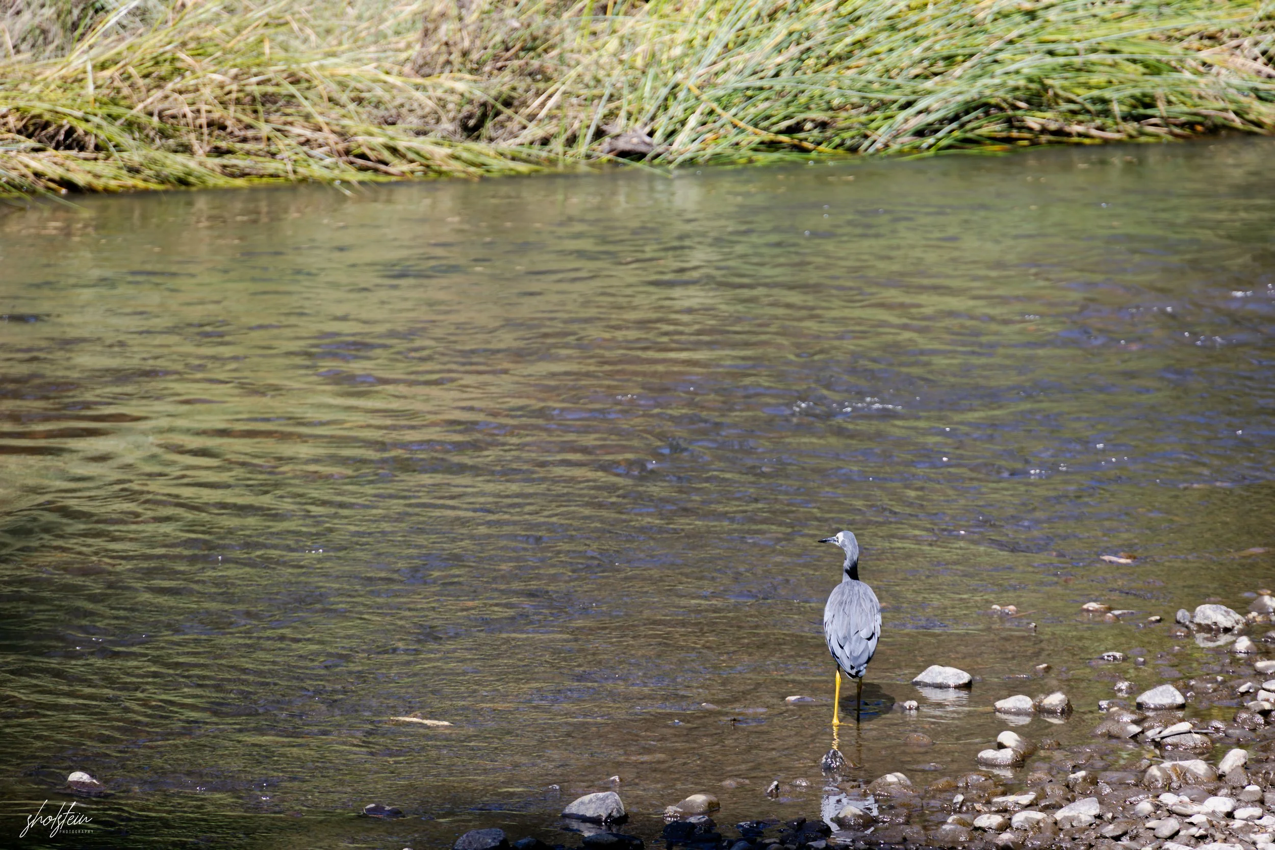 Bathurst 14-3-26-1-6-l.jpg