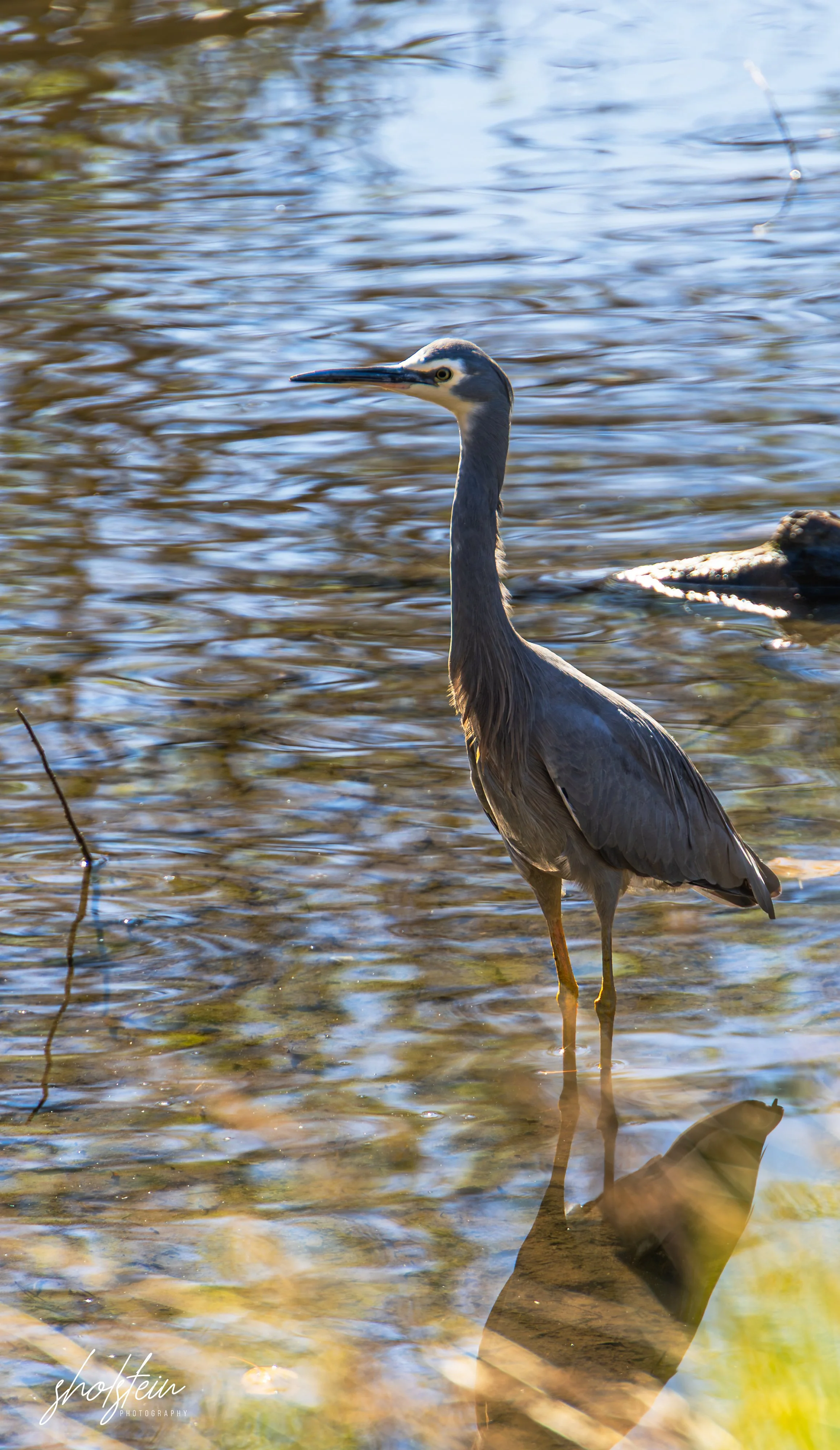 Bowral-Mittagong 26-4-26-1-32-l.jpg