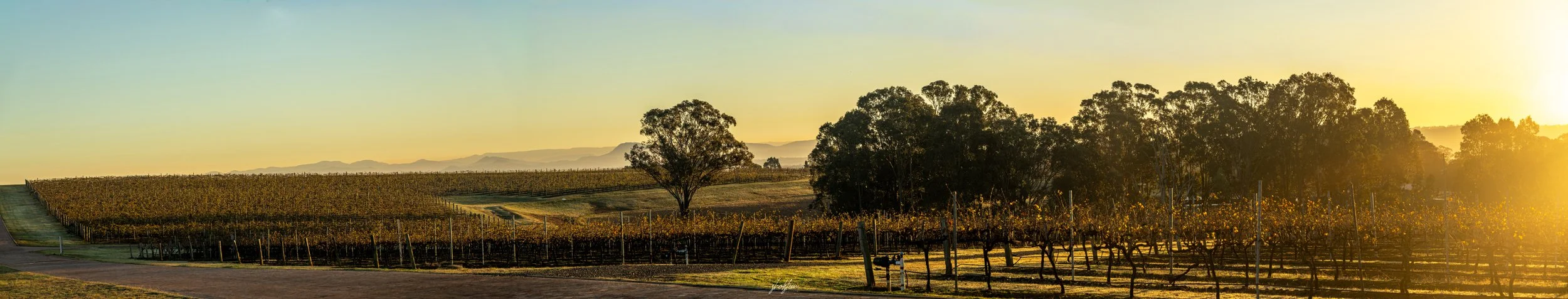 Hunter Valley 5-8-6-26-1-11-m.jpg