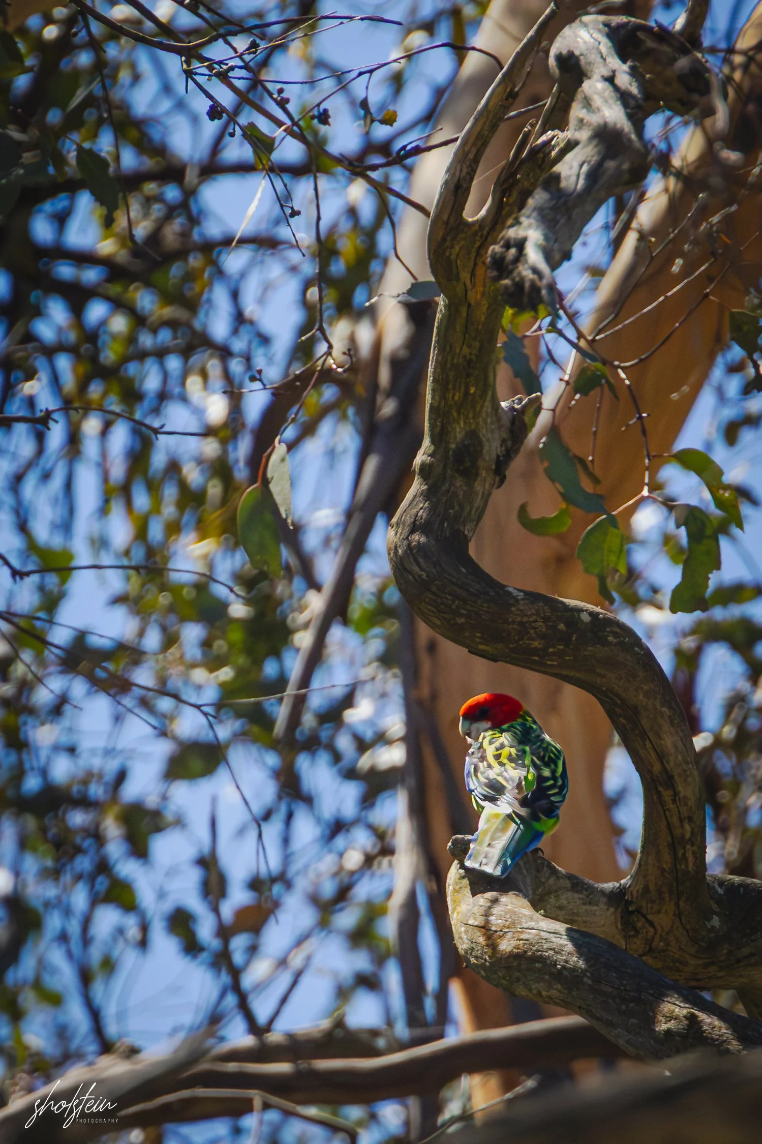 Bathurst 14-3-26-1-30-l.jpg