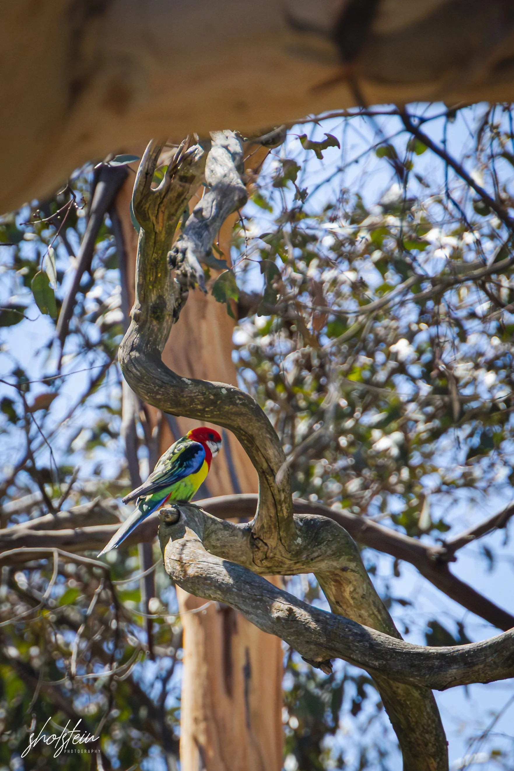 Bathurst 14-3-26-1-29-l.jpg