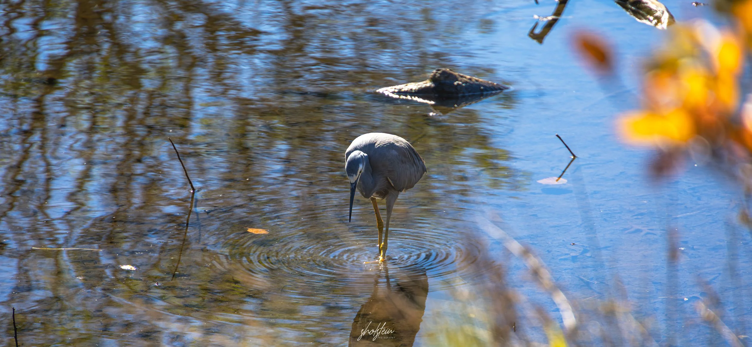 Bowral-Mittagong 26-4-26-1-28-l.jpg