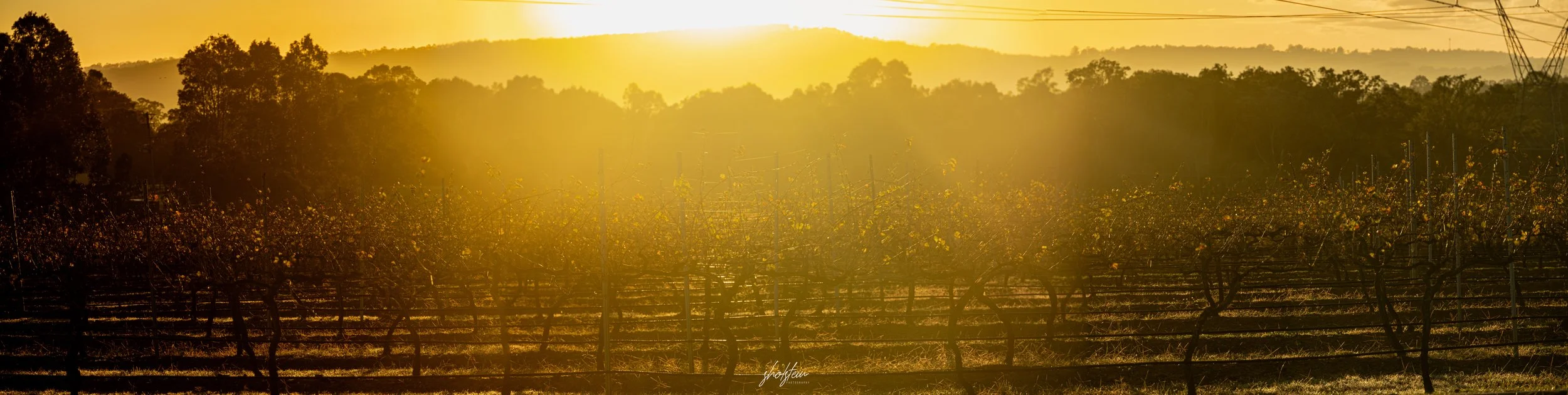 Hunter Valley 5-8-6-26-1-12-m.jpg