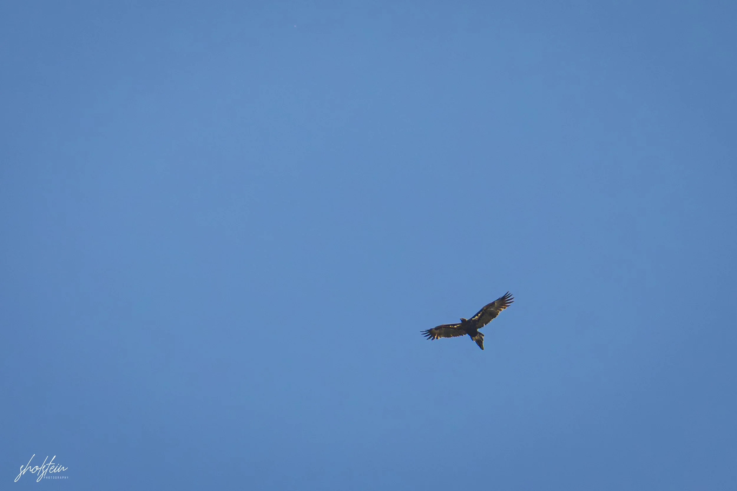 Bathurst 14-3-26-1-27-l.jpg