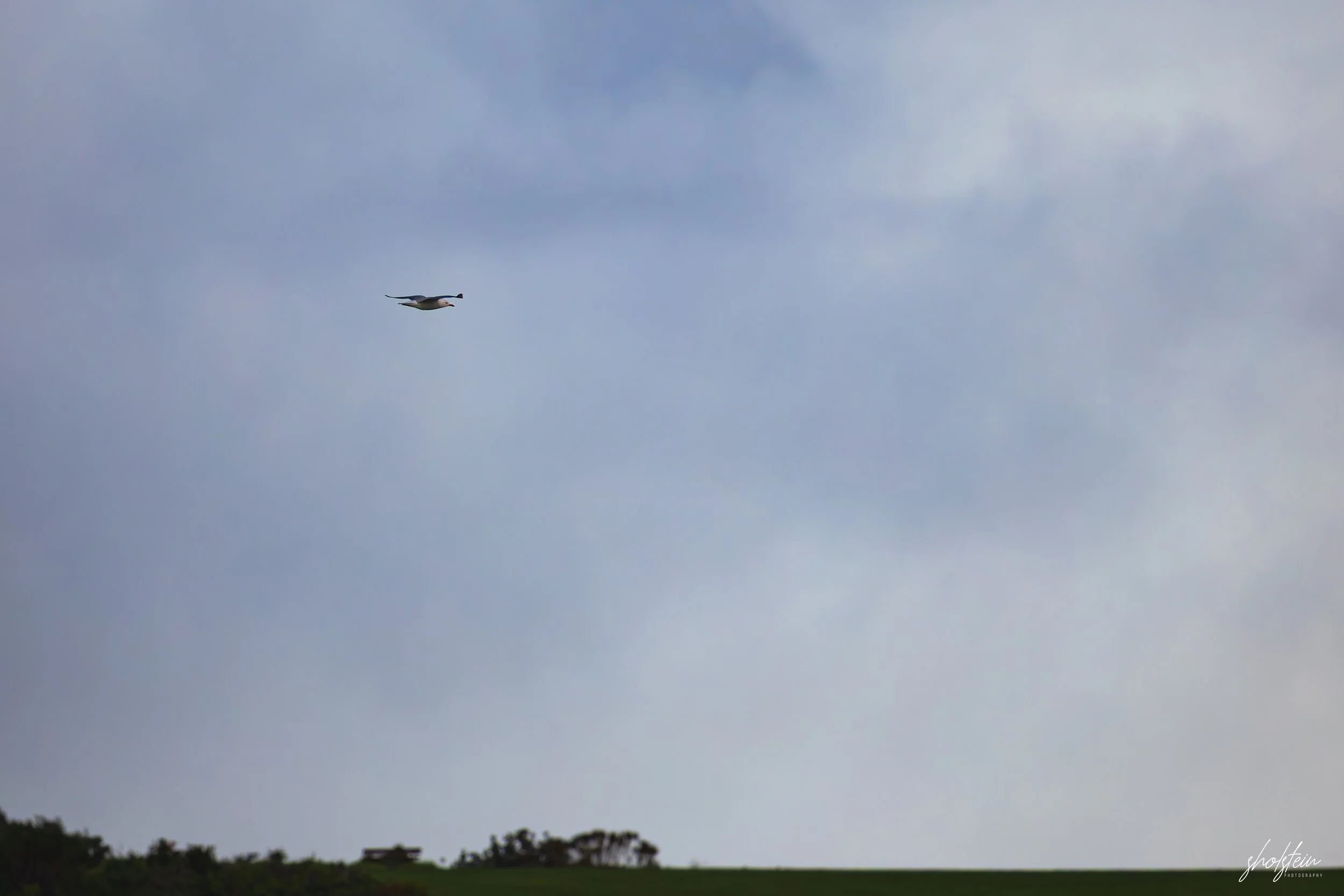 Gerringong 5-7-26-1-33-l.jpg
