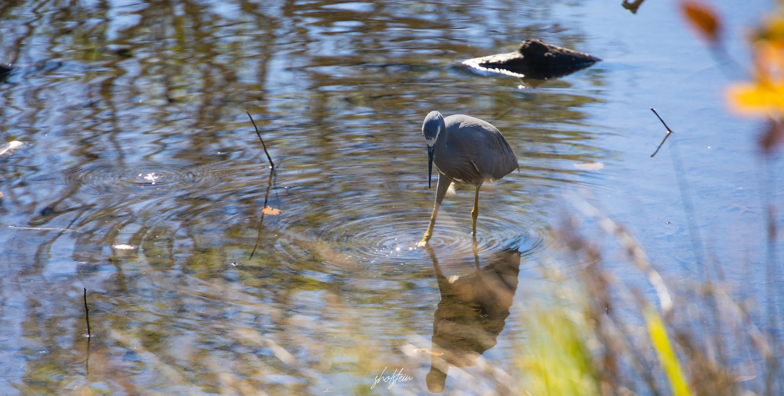 Bowral-Mittagong 26-4-26-1-30-l.jpg