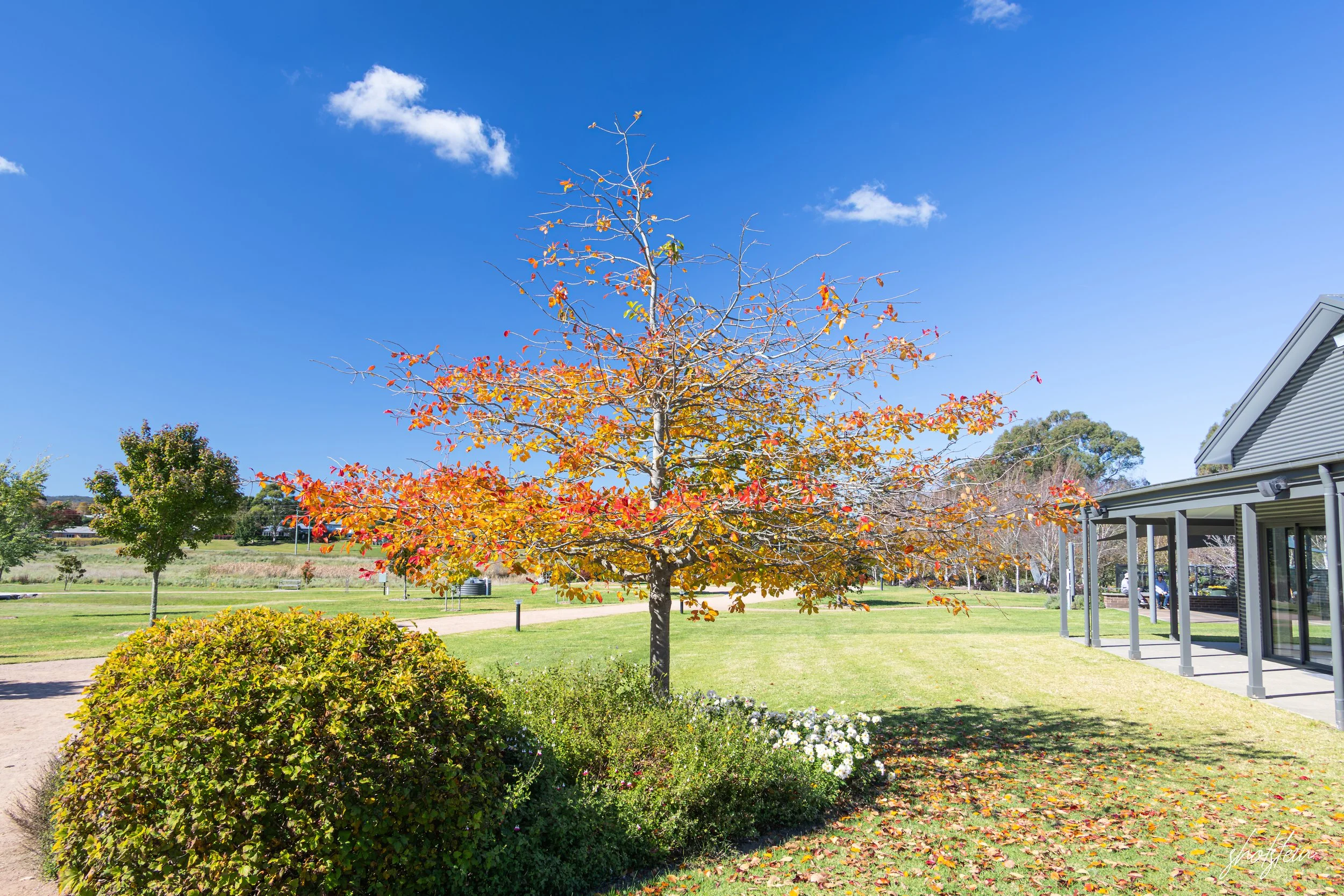 Bowral-Mittagong 26-4-26-1-14-l.jpg