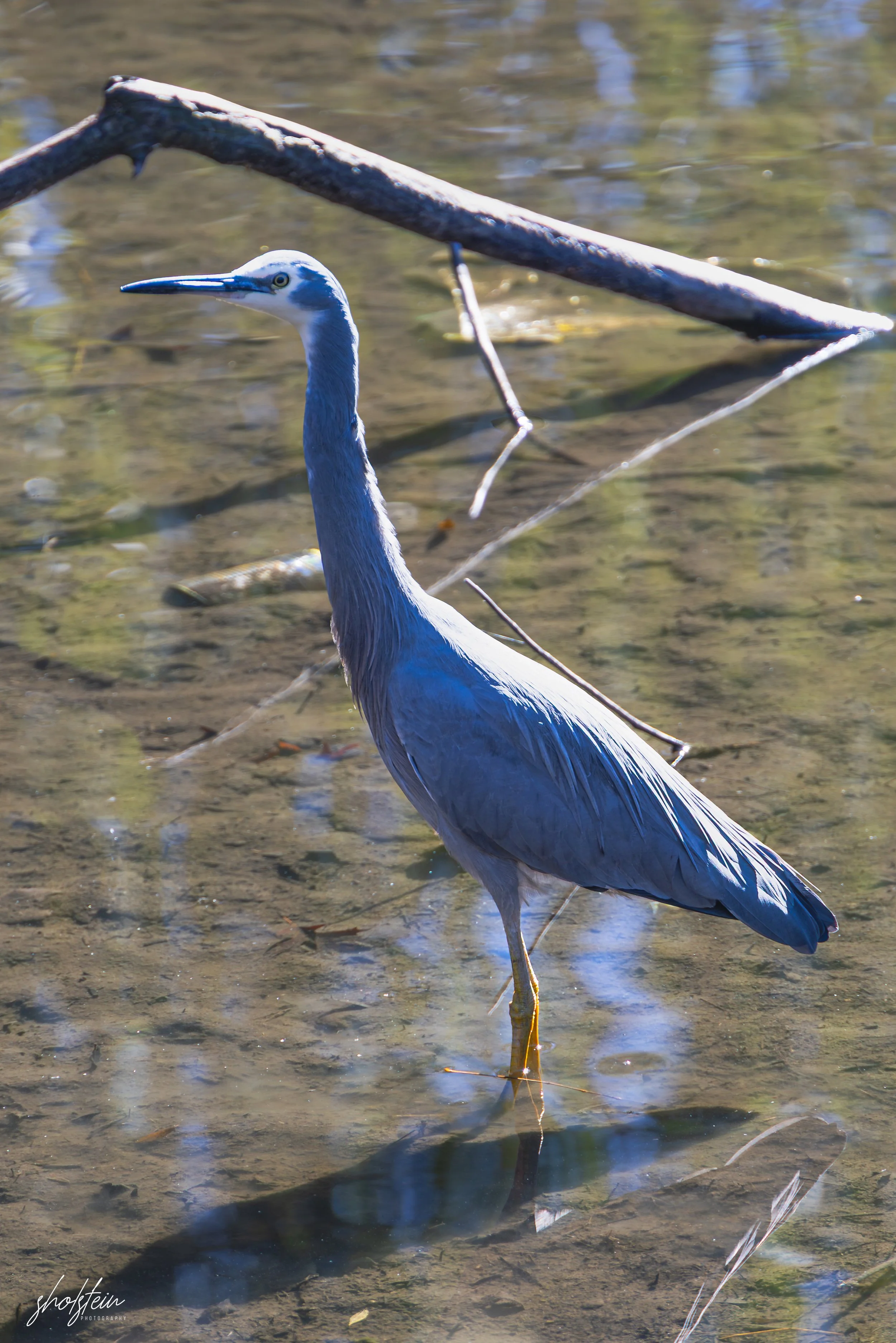 Bowral-Mittagong 26-4-26-1-33-l.jpg