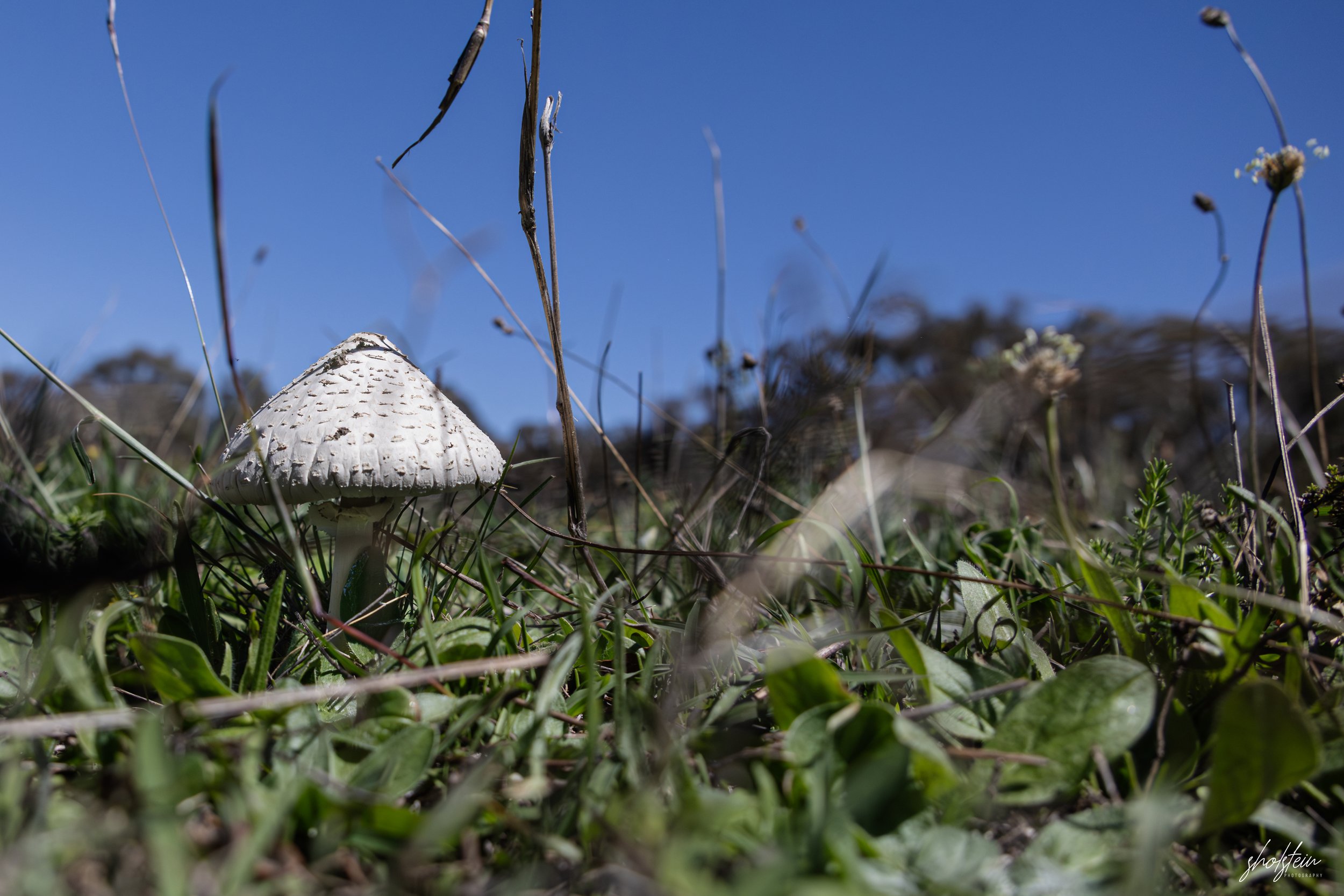 Bathurst 14-3-26-1-34-l.jpg
