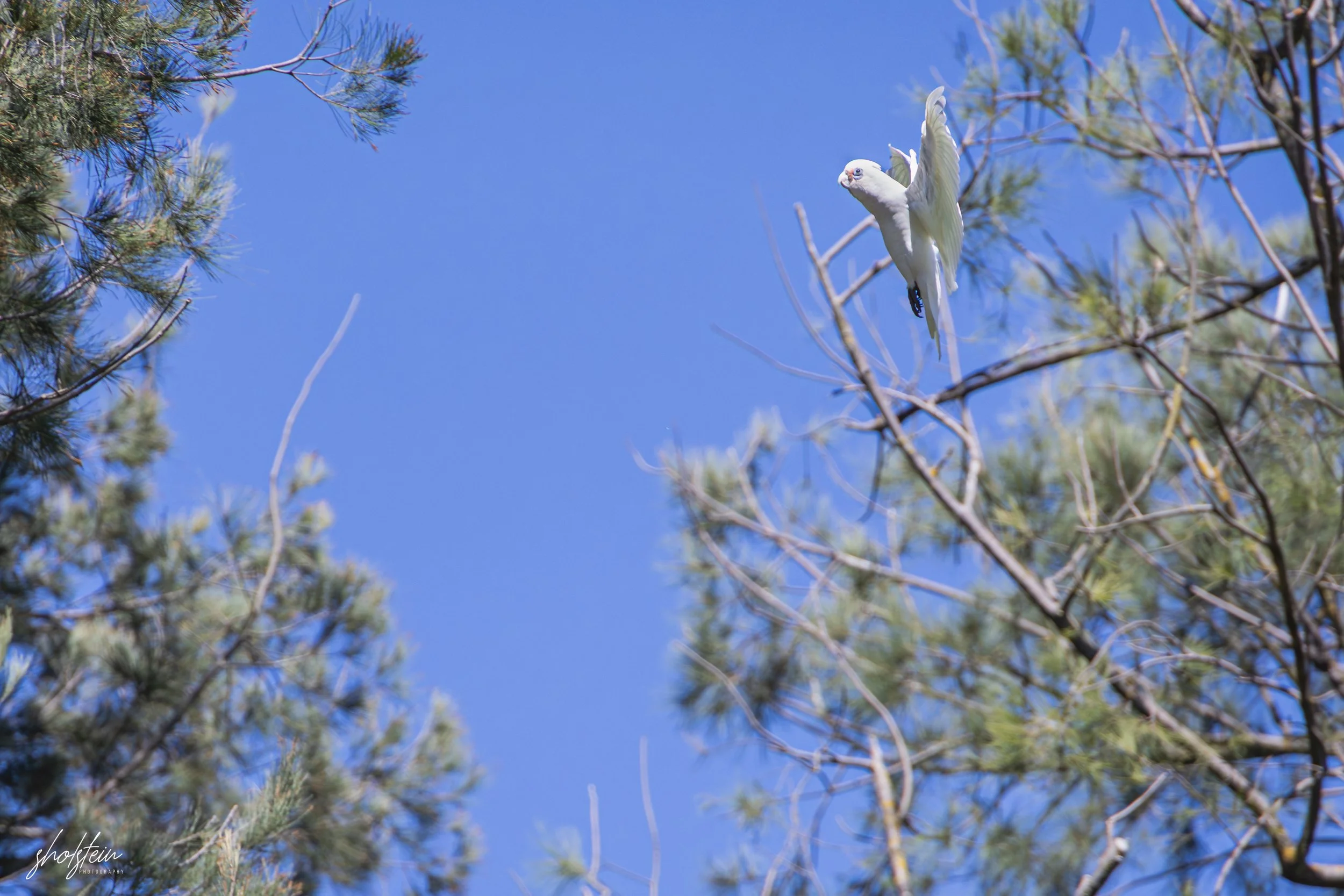 Bathurst 14-3-26-1-20-l.jpg