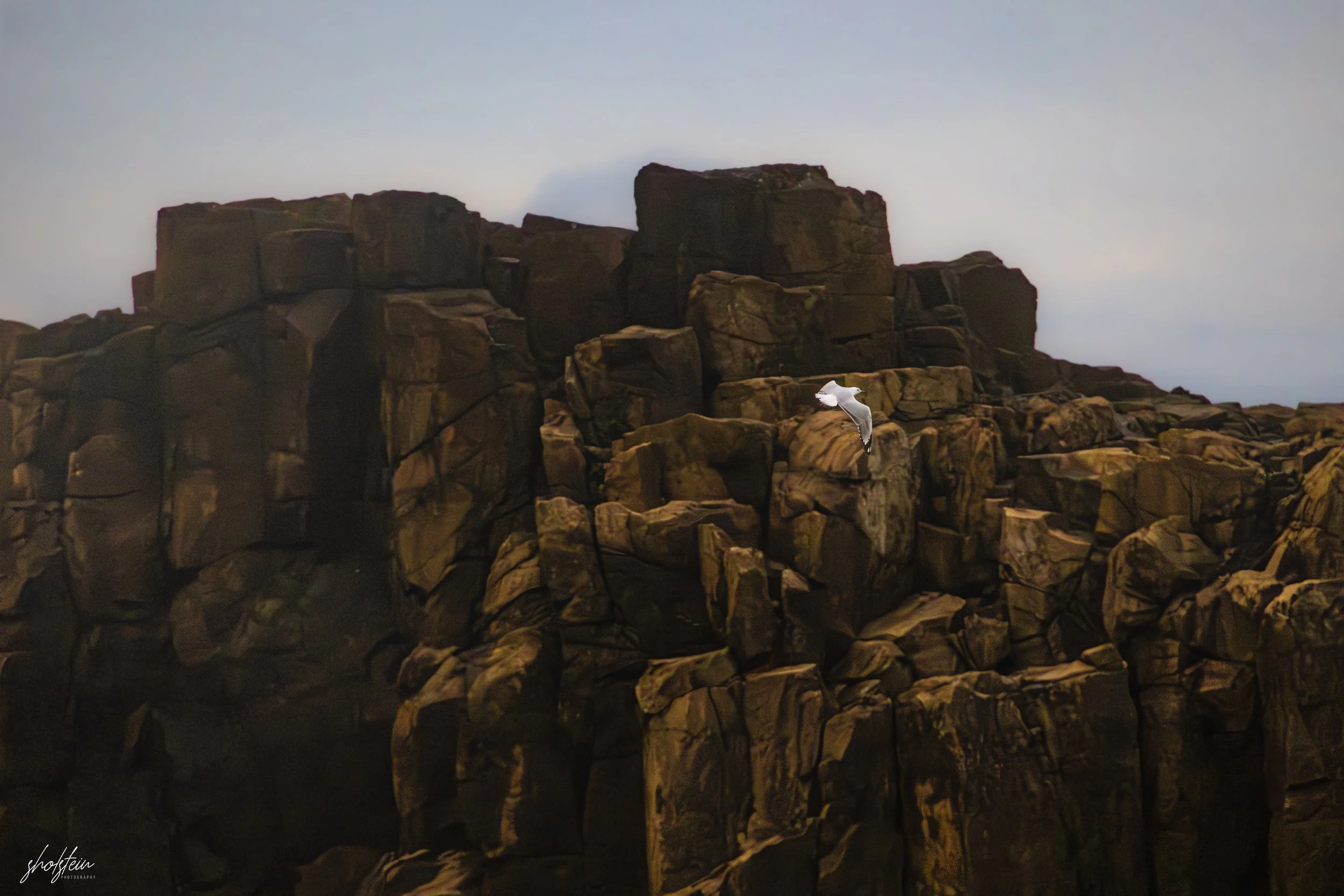 Bombo Headland Quarry 26-4-26-1-19-l.jpg