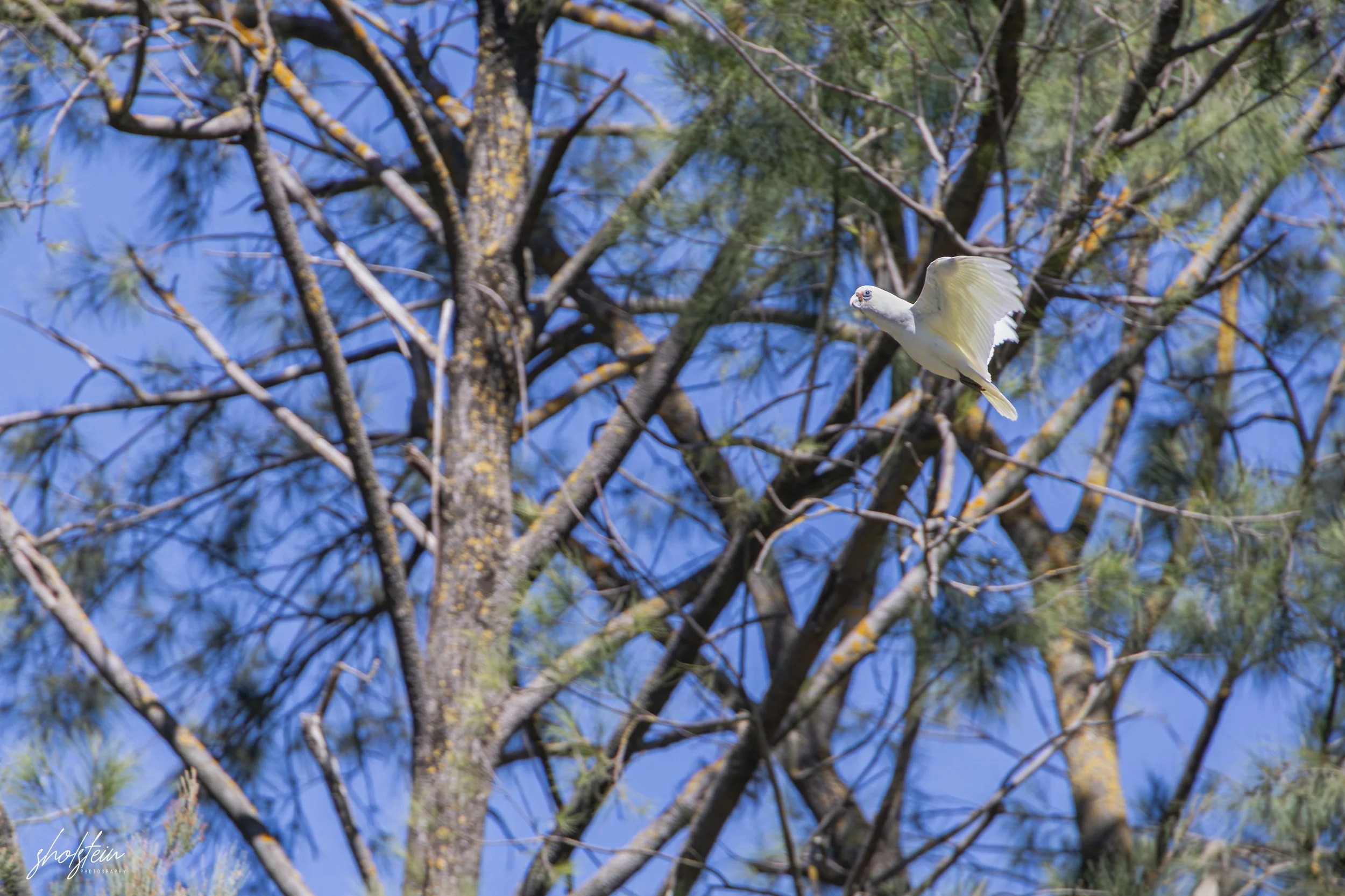 Bathurst 14-3-26-1-19-l.jpg