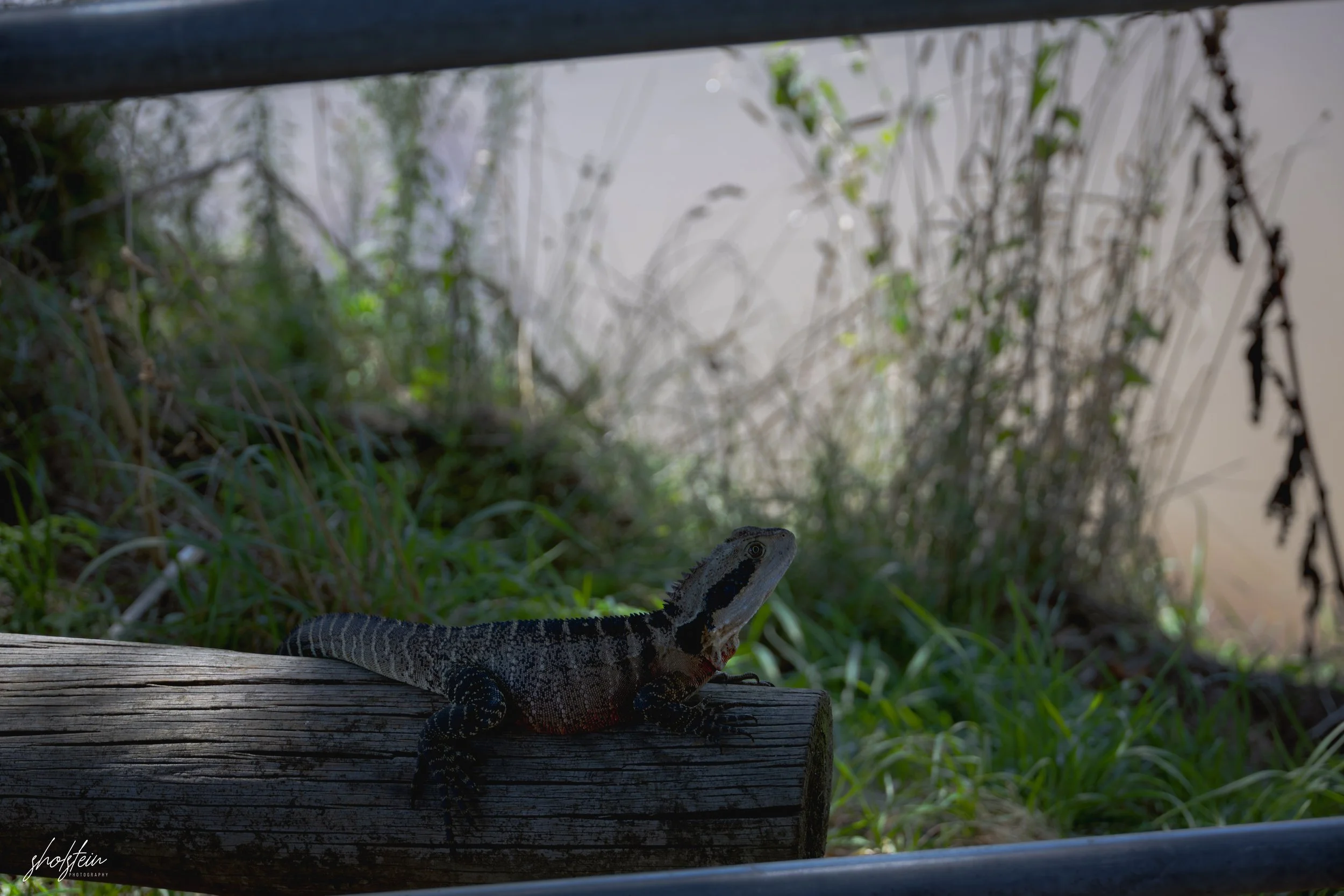 Bathurst 14-3-26-1-15-l.jpg