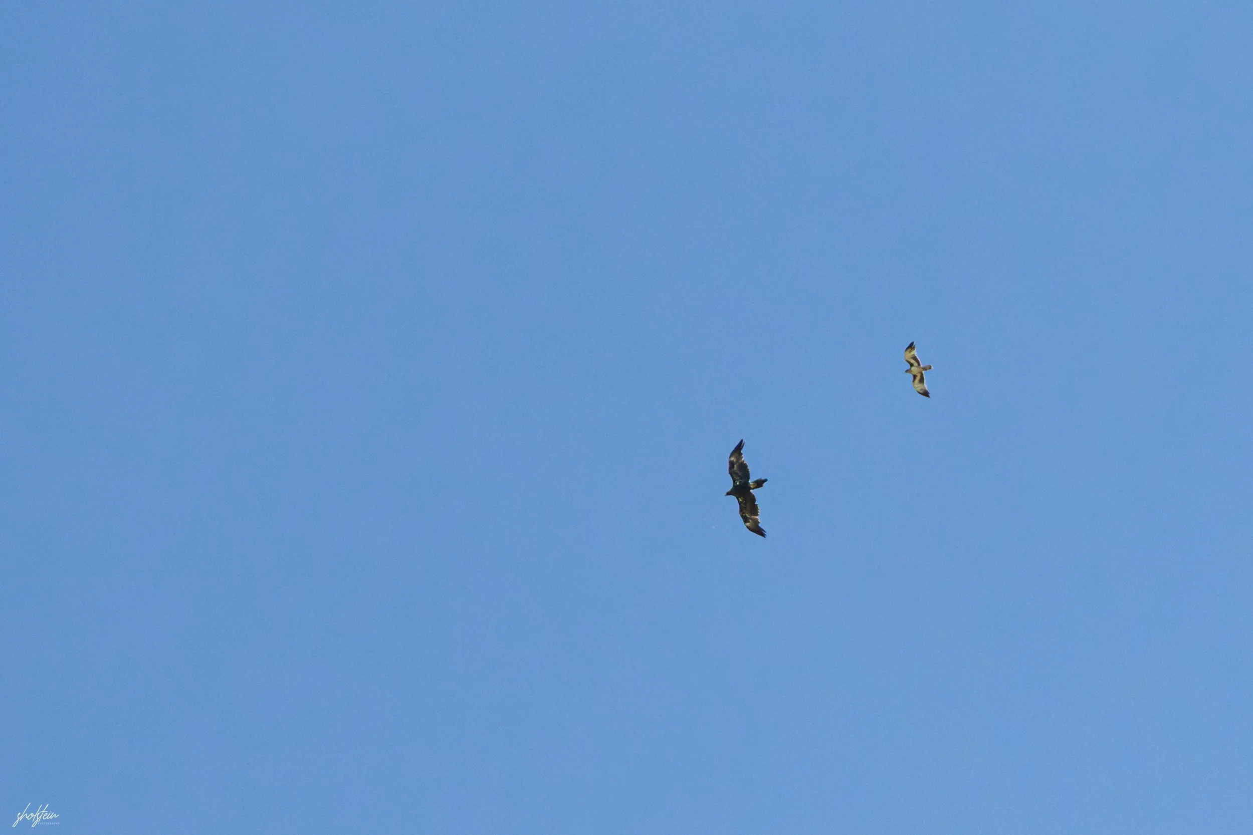 Bathurst 14-3-26-1-36-l.jpg