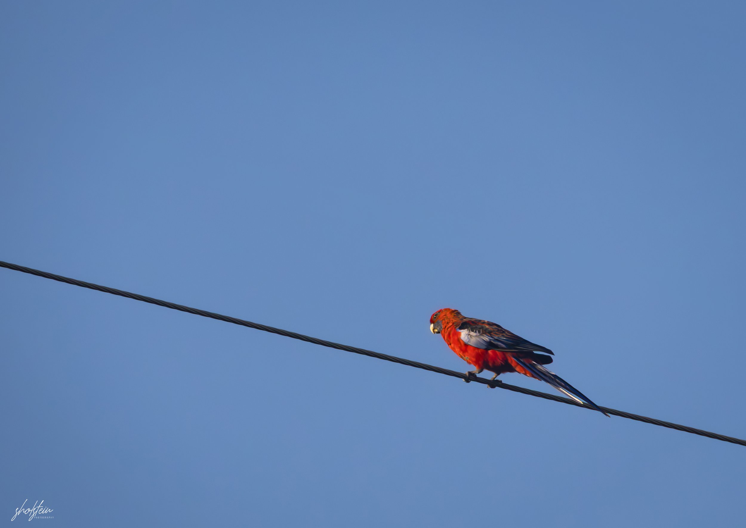 Mollymook 9-1-26-1-9-l.jpg