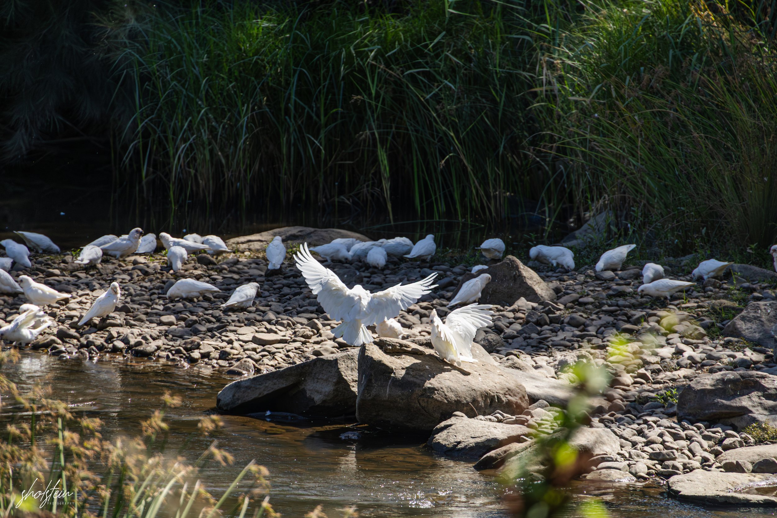 Bathurst 14-3-26-1-24-l.jpg