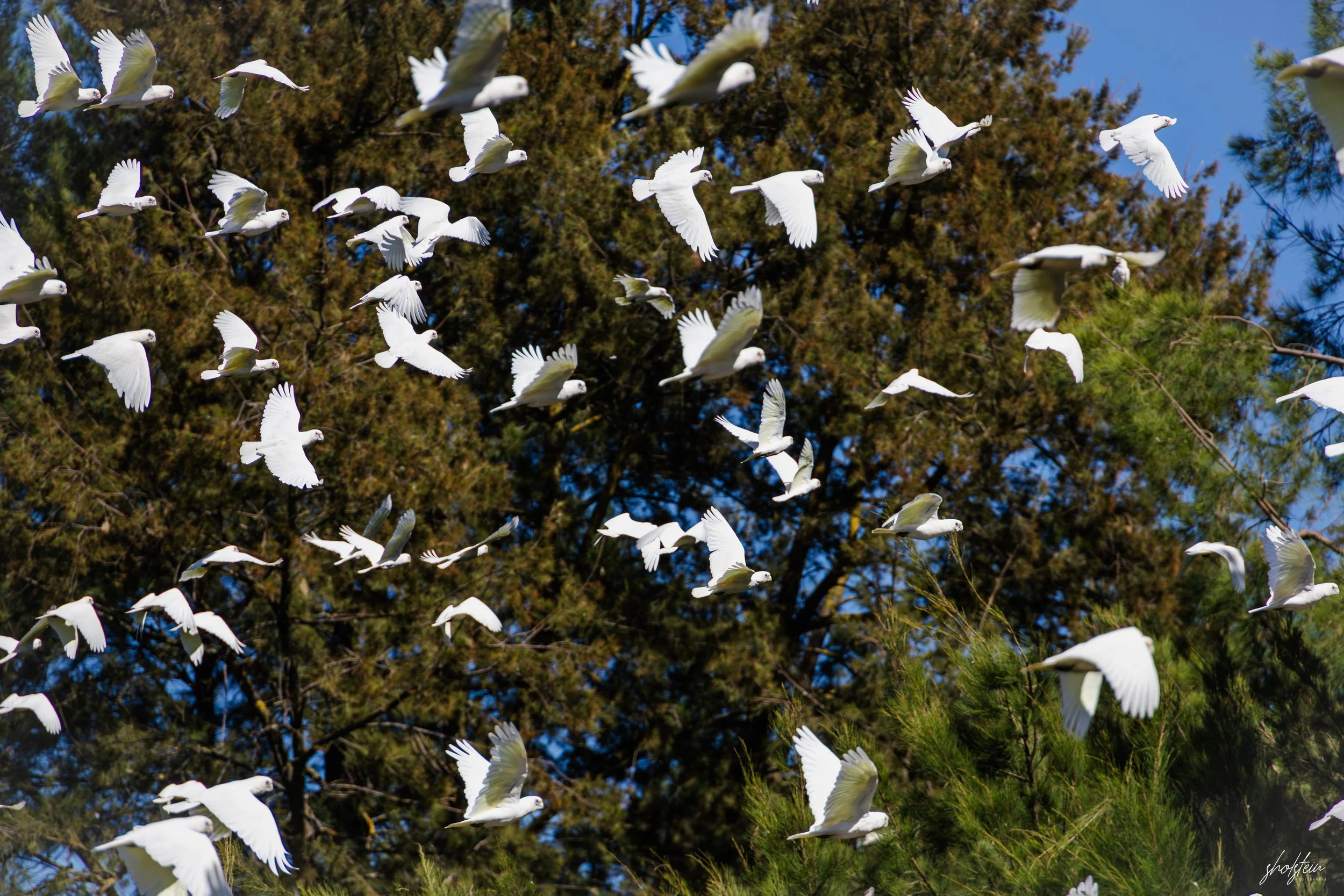 Bathurst 14-3-26-1-35-l.jpg