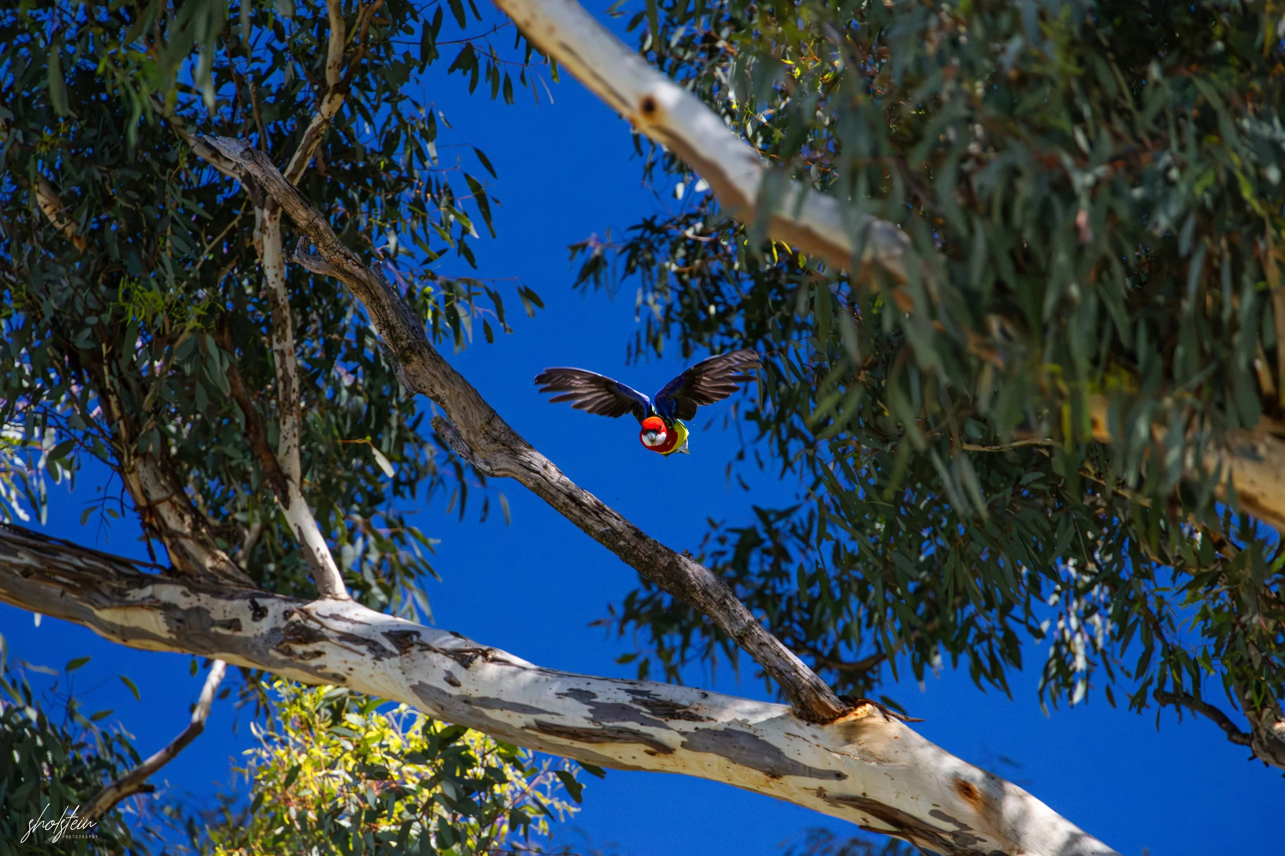 Bathurst 14-3-26-1-42-m.jpg
