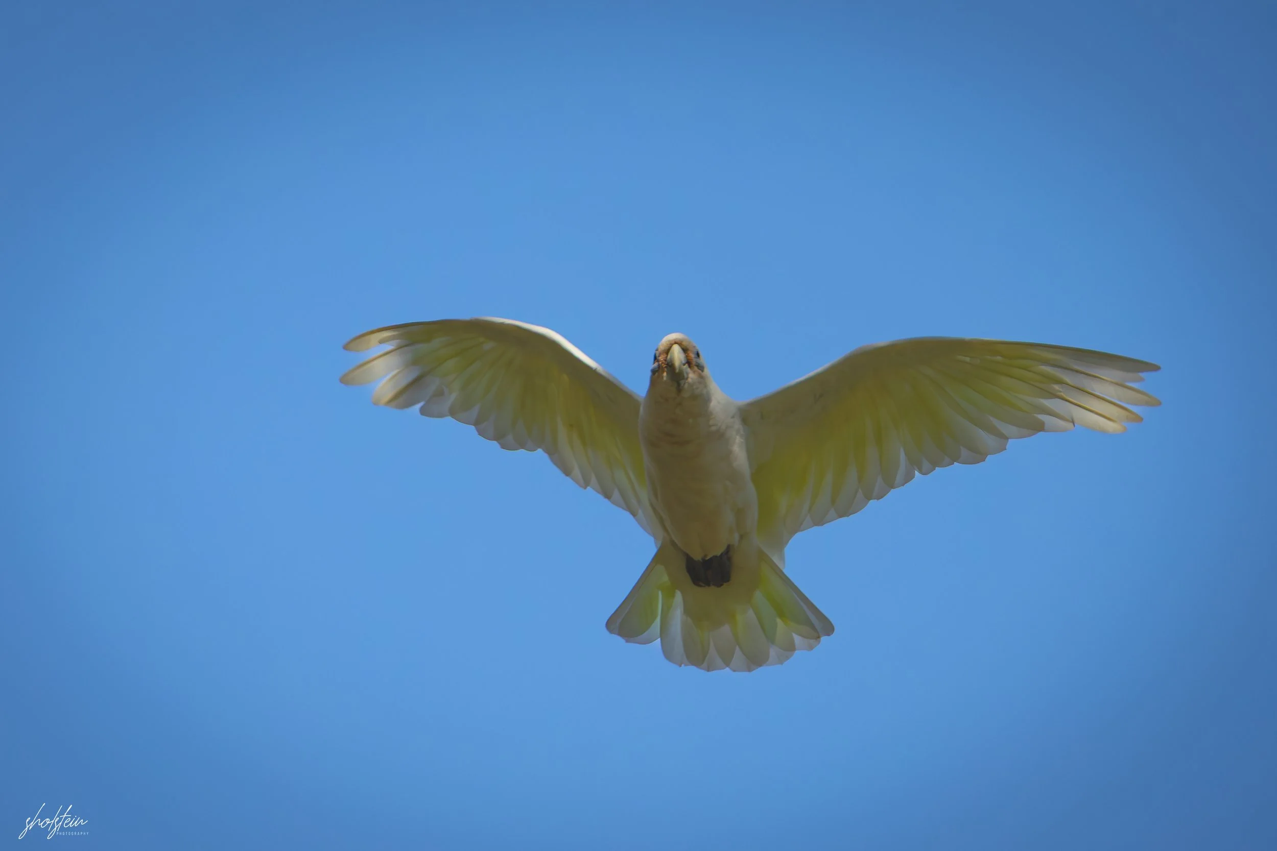 Bathurst 14-3-26-1-13-l.jpg