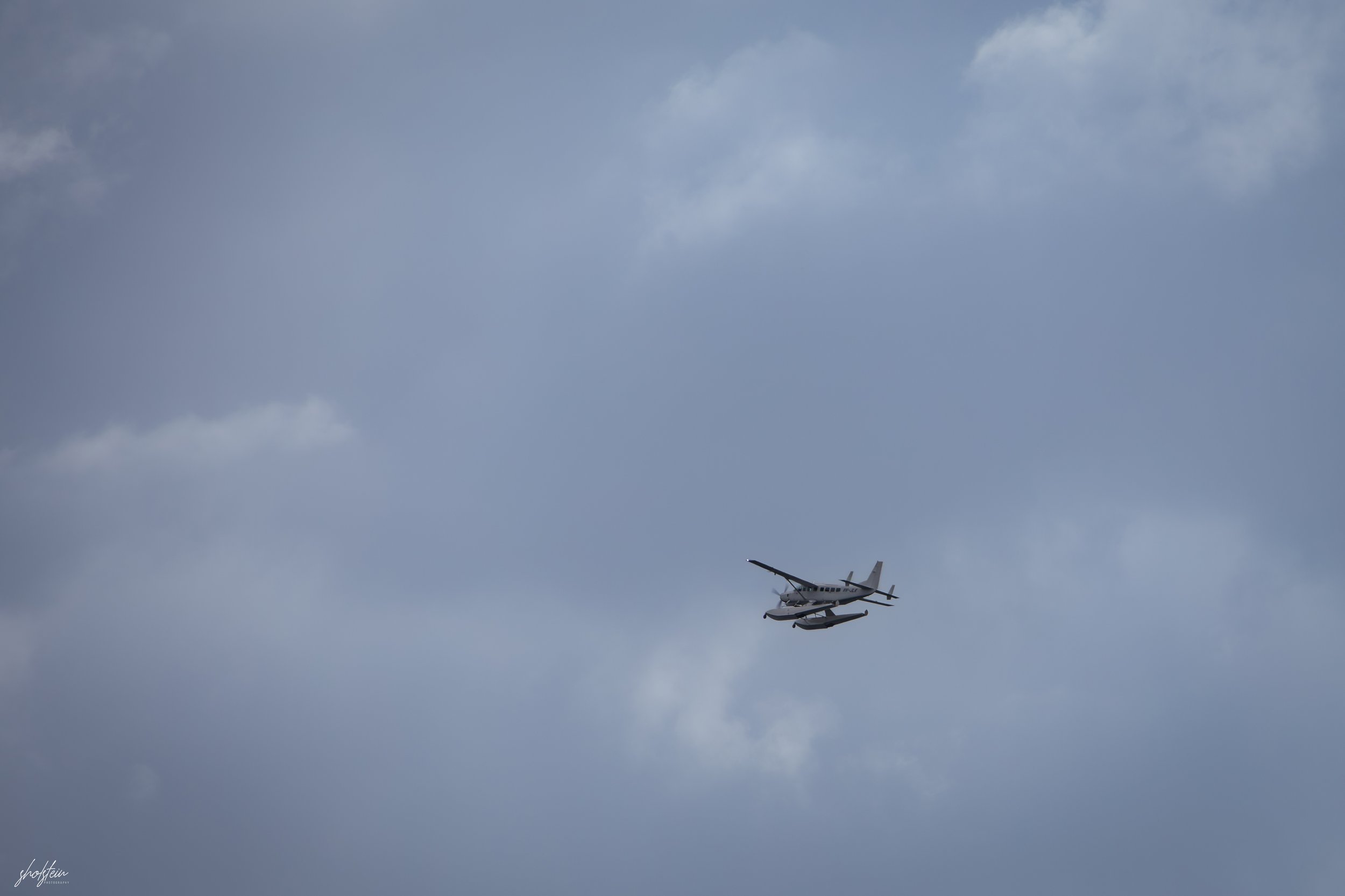 Australia Day 26-1-26-1-4-l.jpg