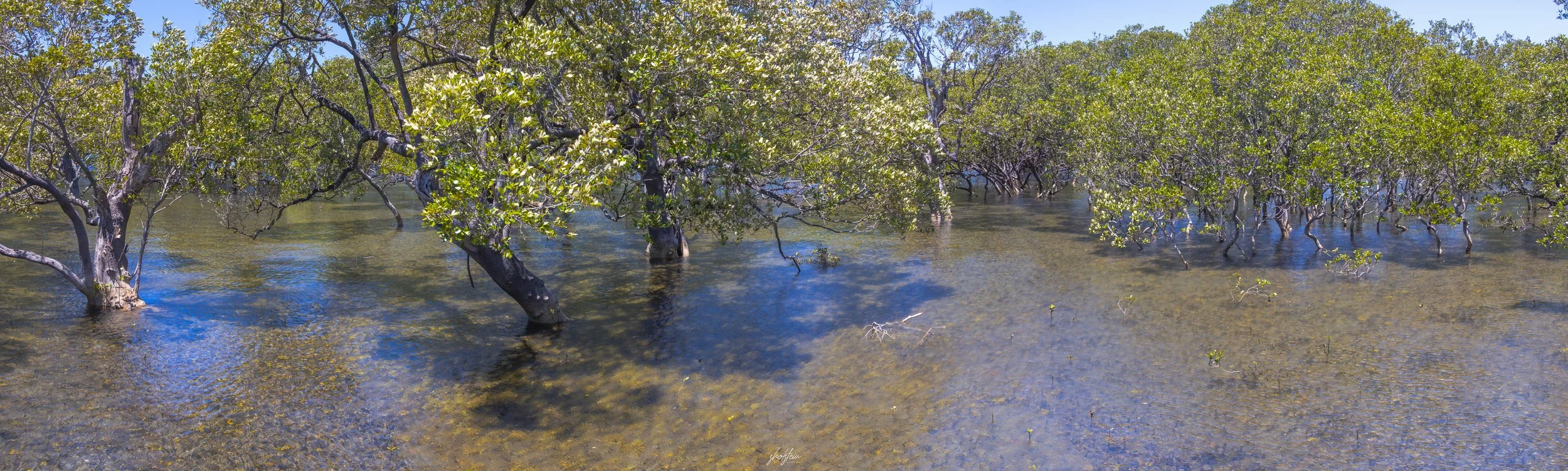 Sussex Inlet 10-1-26-1-4-m.jpg