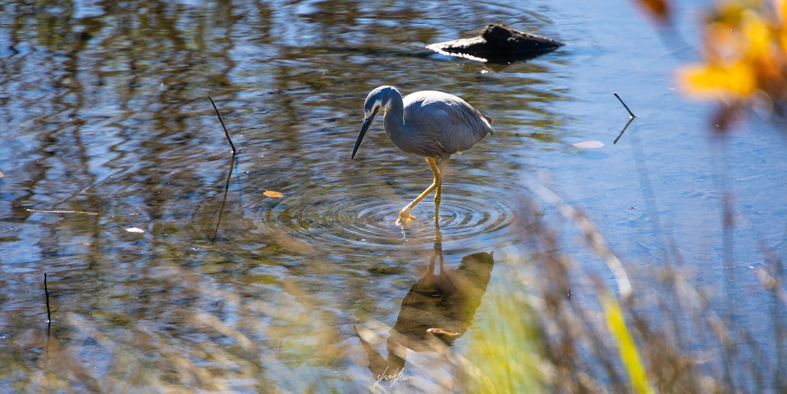 Bowral-Mittagong 26-4-26-1-29-l.jpg