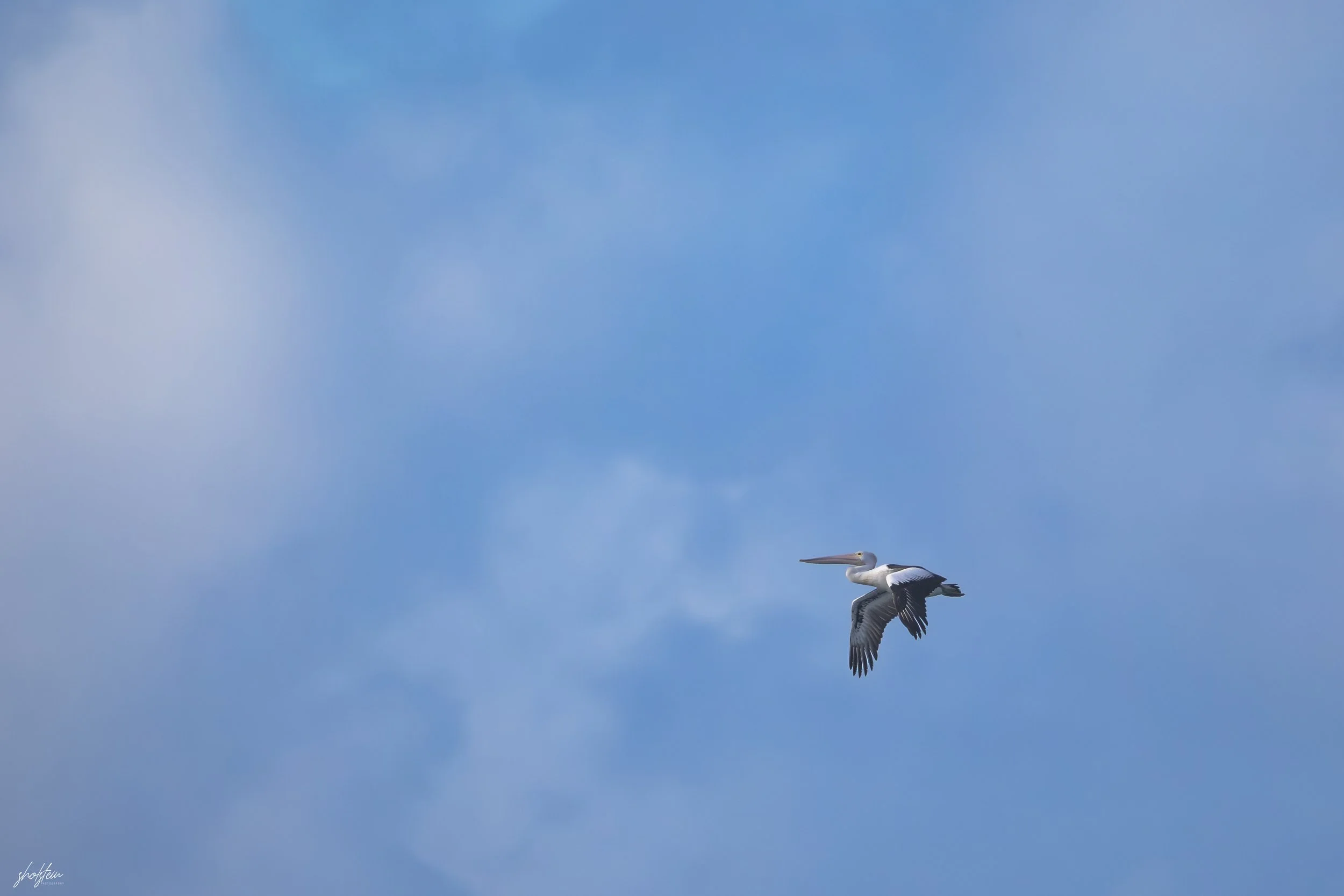 Gerringong 5-7-26-1-15-l.jpg