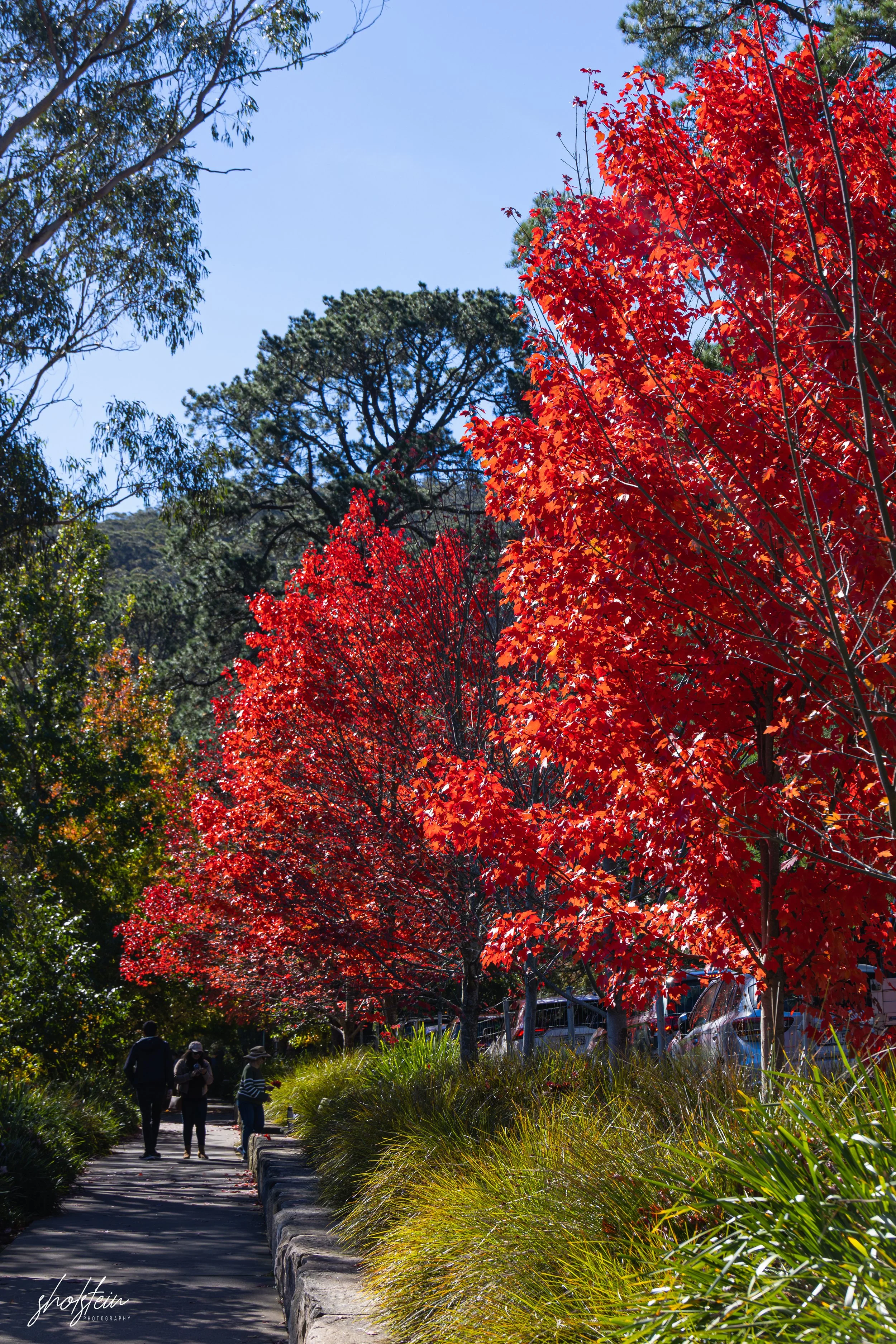 Bowral-Mittagong 26-4-26-1-16-l.jpg