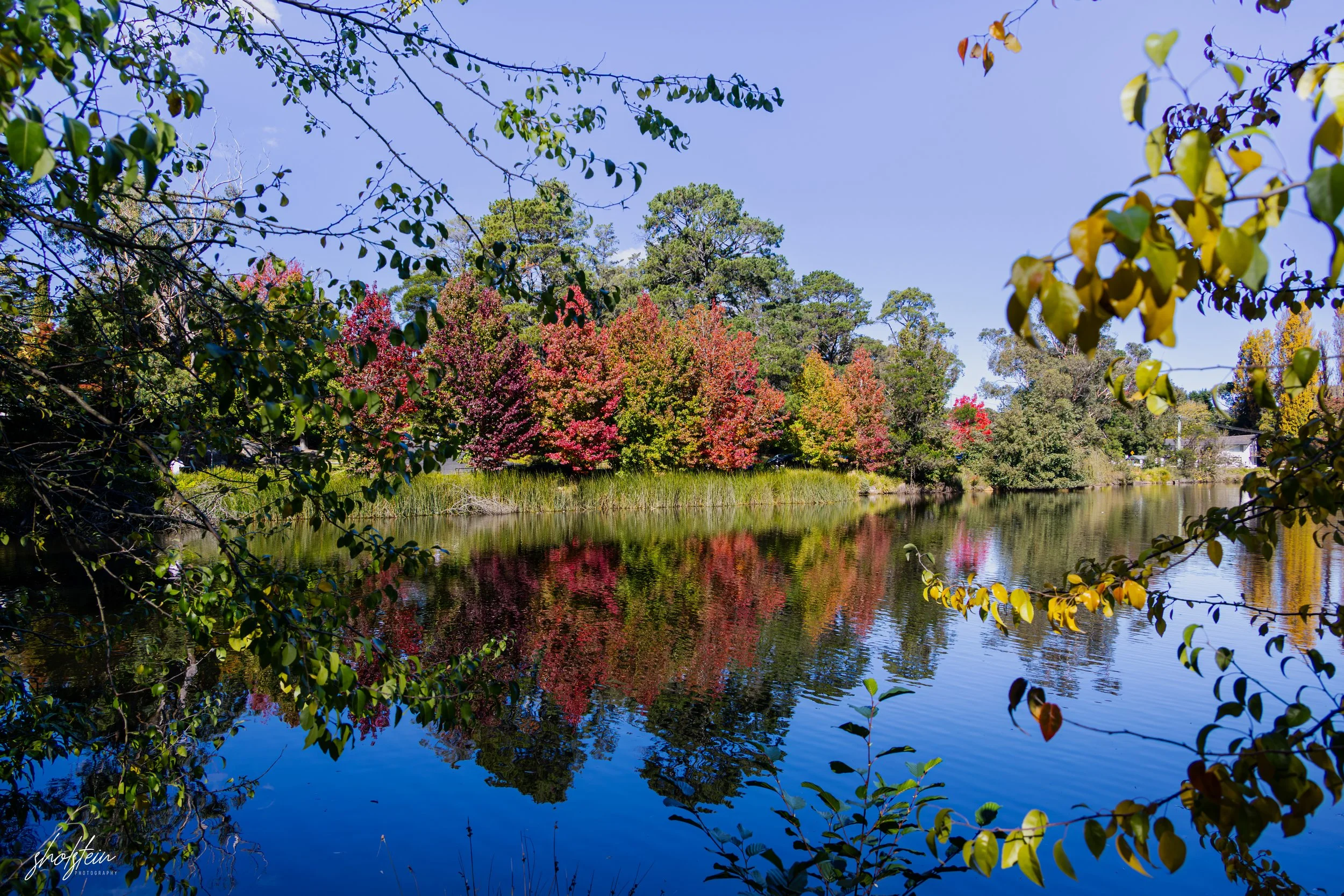 Bowral-Mittagong 26-4-26-1-19-m.jpg