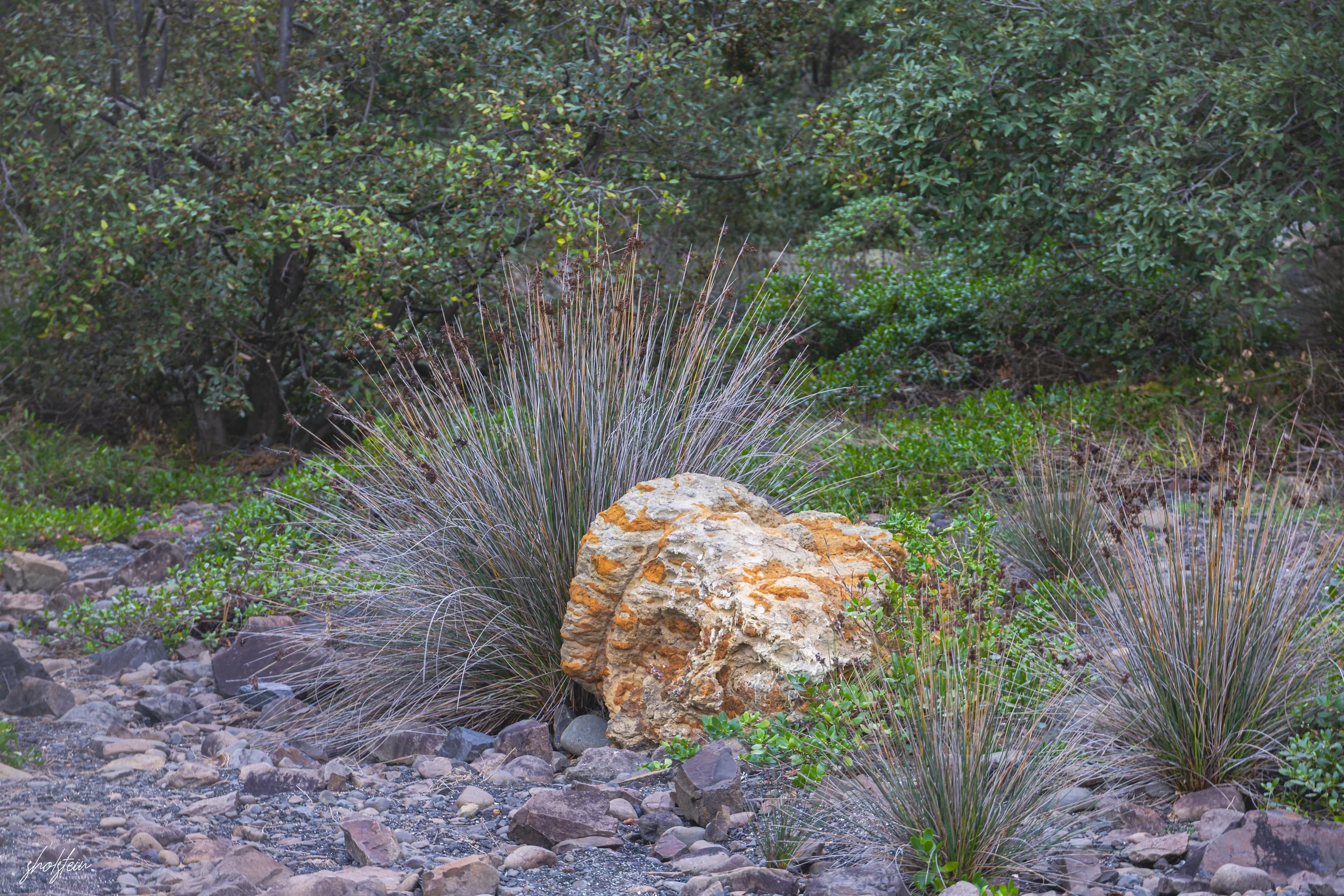 Bombo Headland Quarry 26-4-26-1-26-l.jpg
