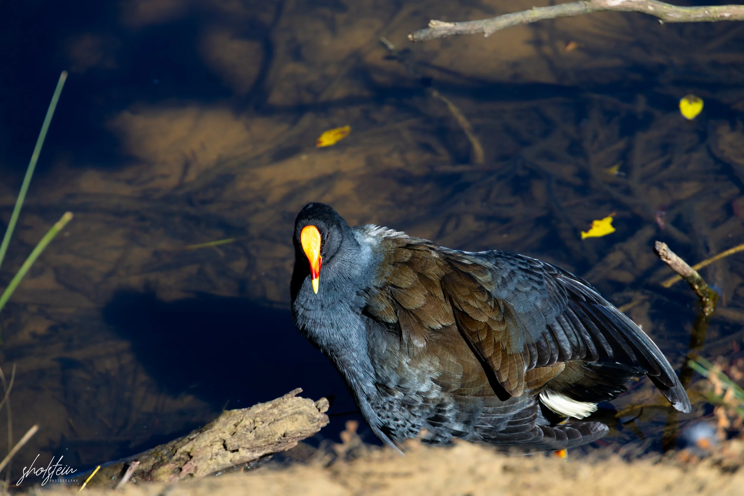 Bowral-Mittagong 26-4-26-1-21-l.jpg