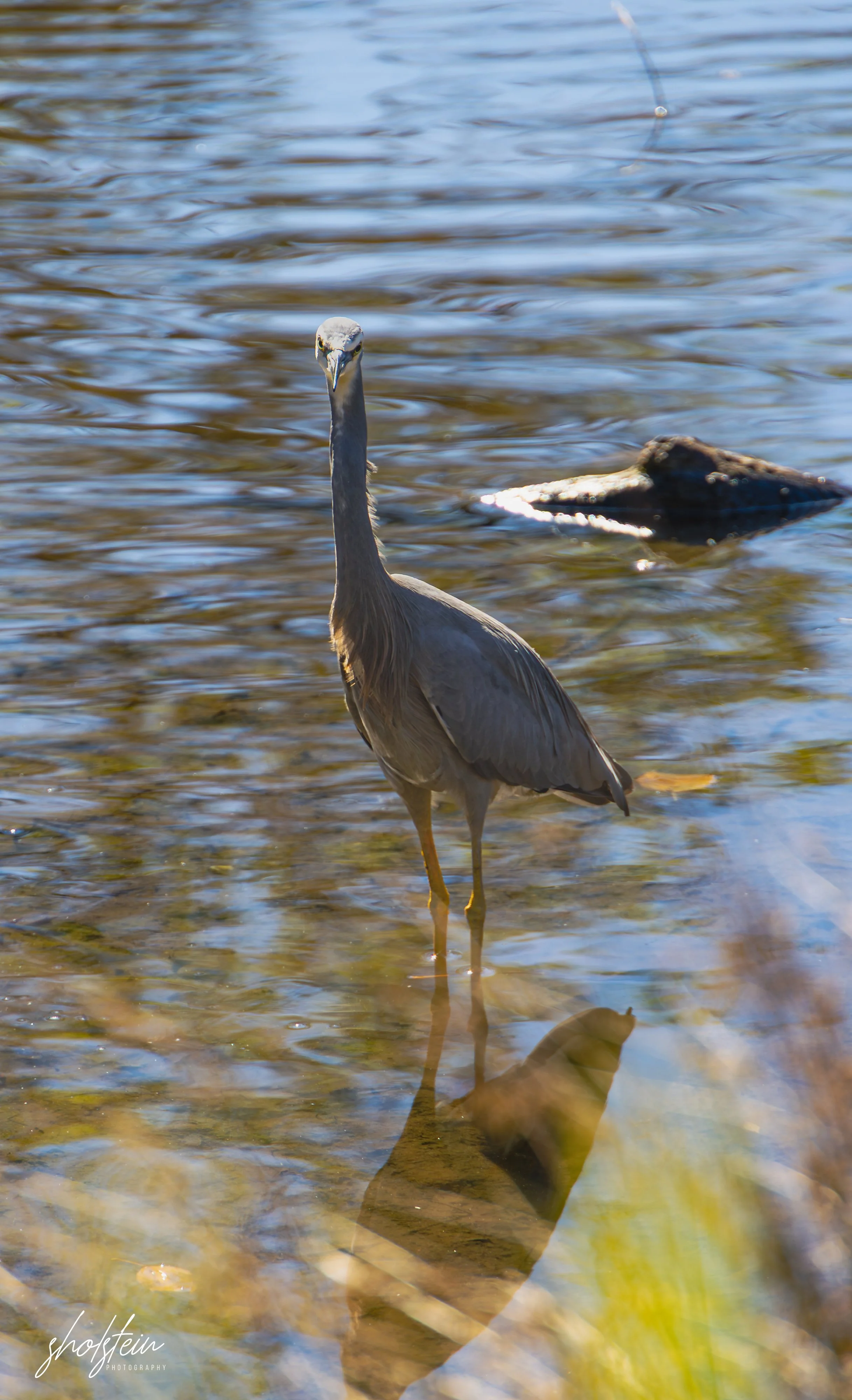 Bowral-Mittagong 26-4-26-1-31-l.jpg