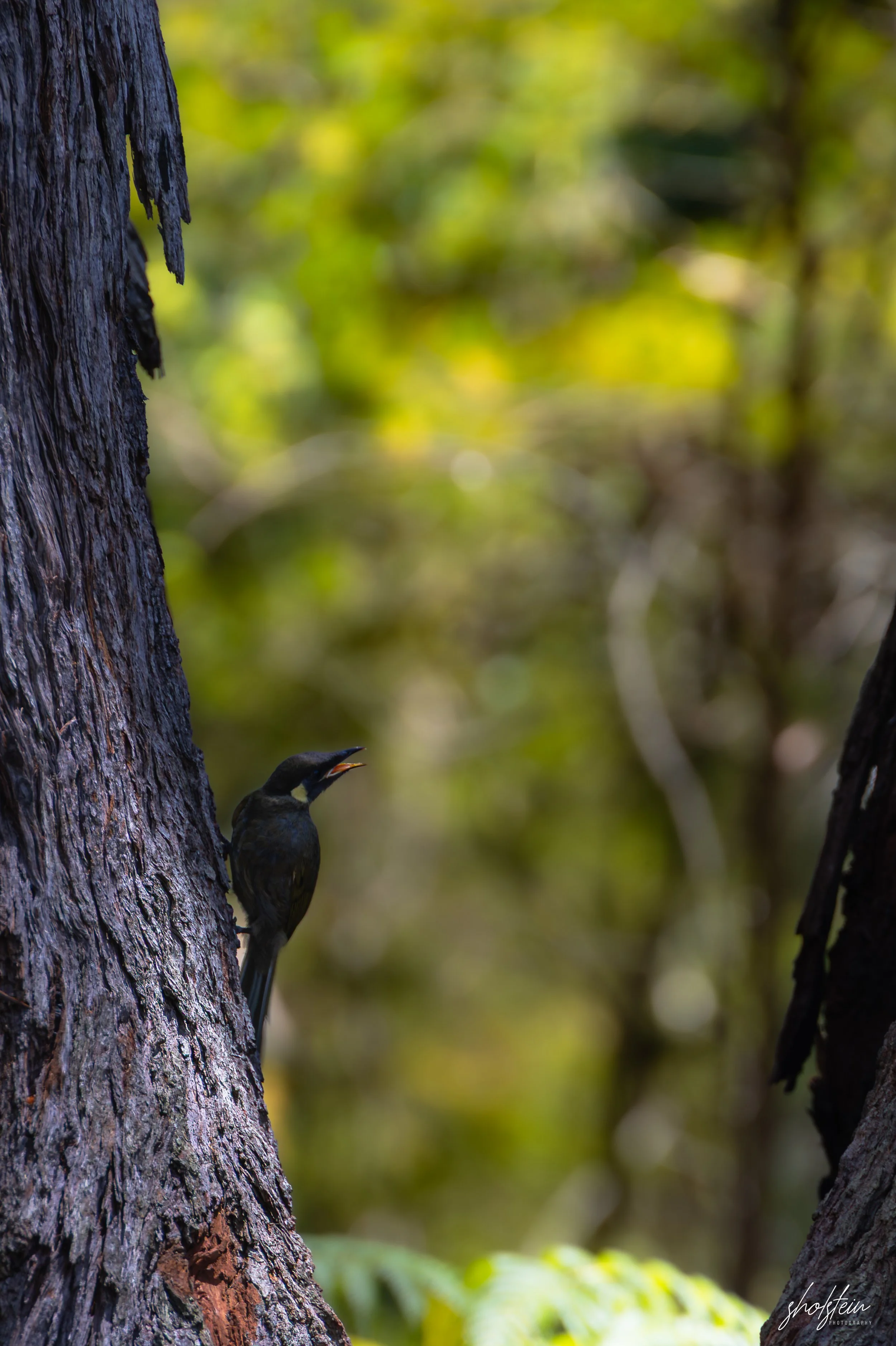 Sussex Inlet 10-1-26-1-7-l.jpg