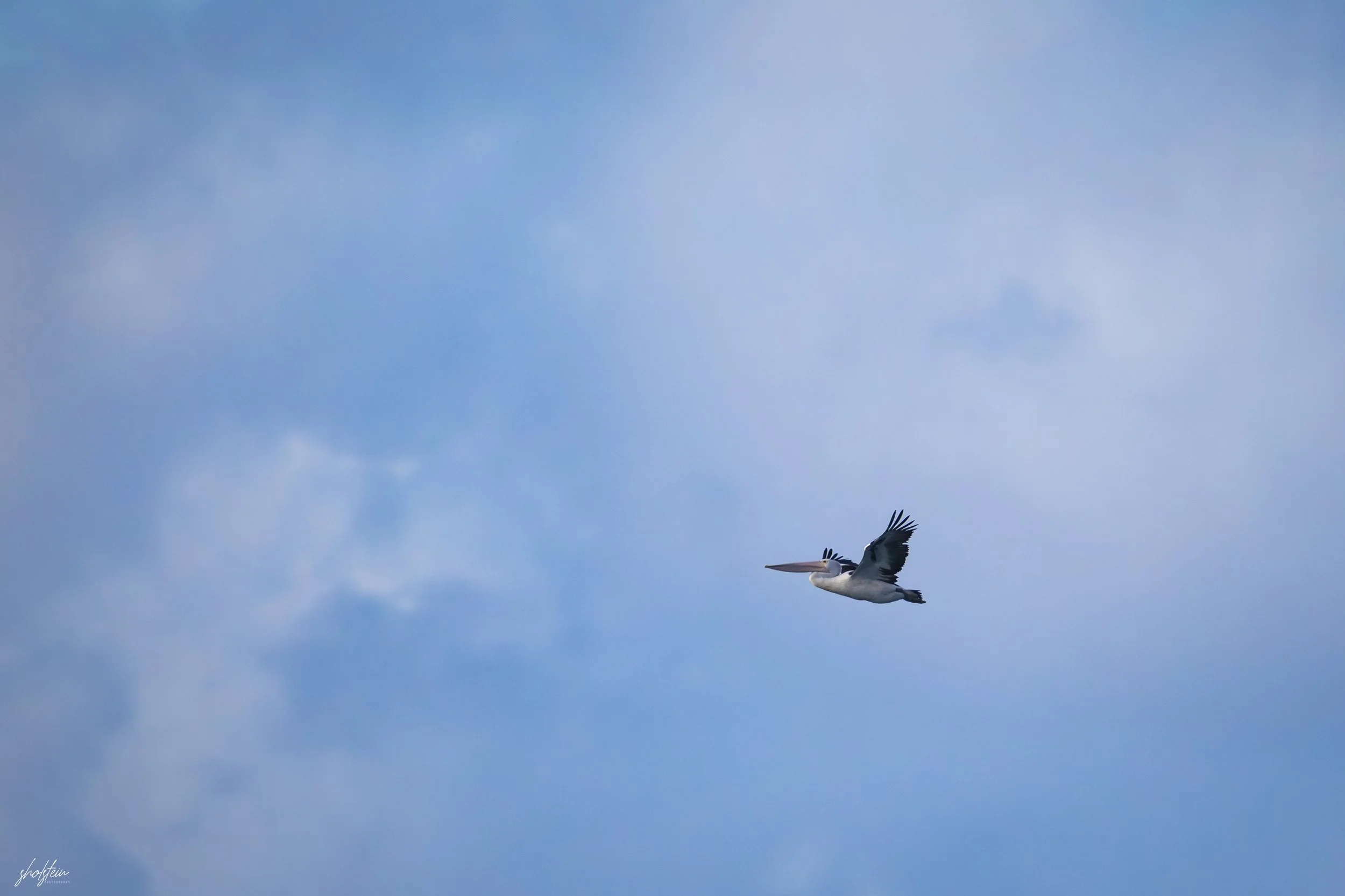 Gerringong 5-7-26-1-14-l.jpg