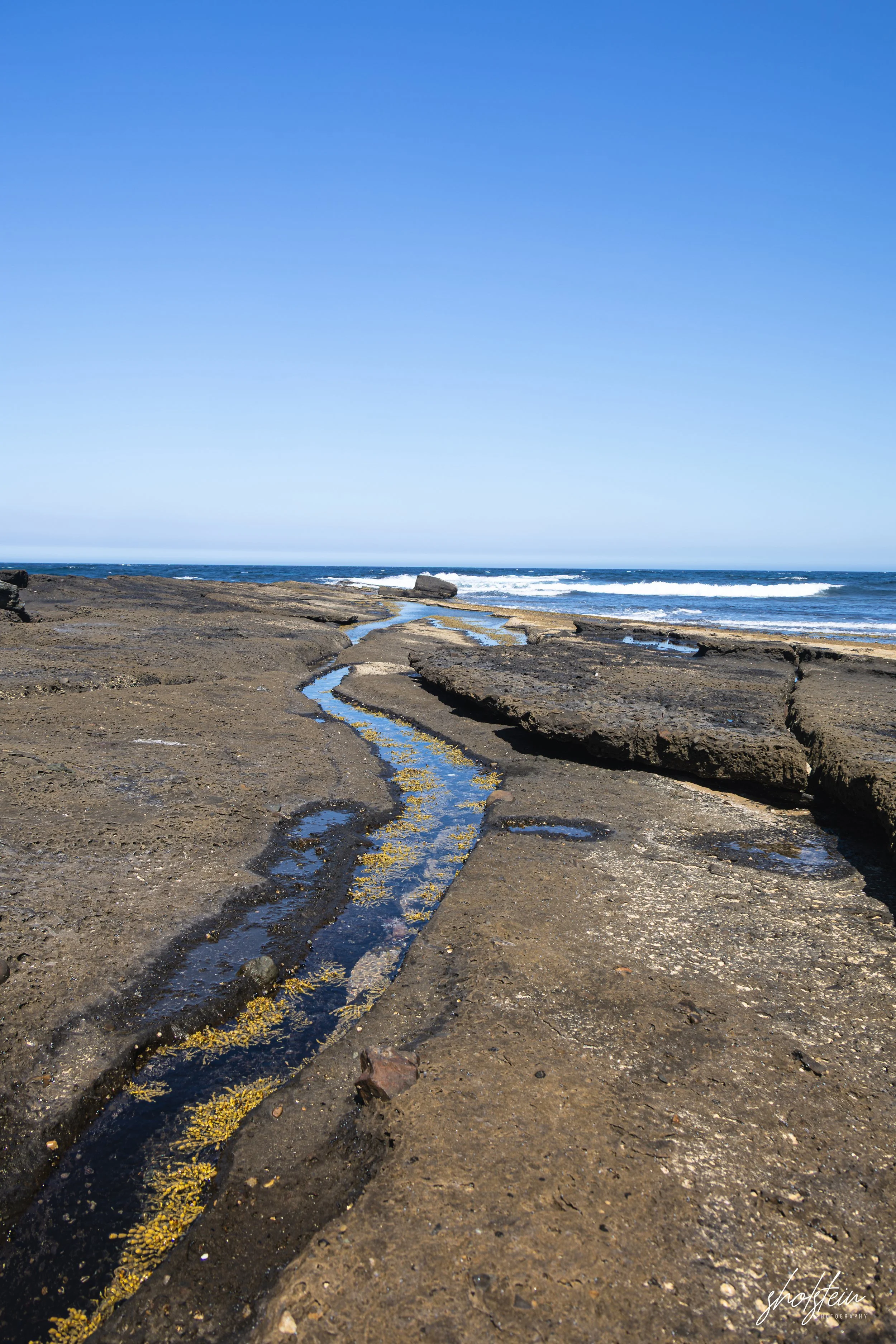 Mollymook 8-1-26-1-11-l.jpg