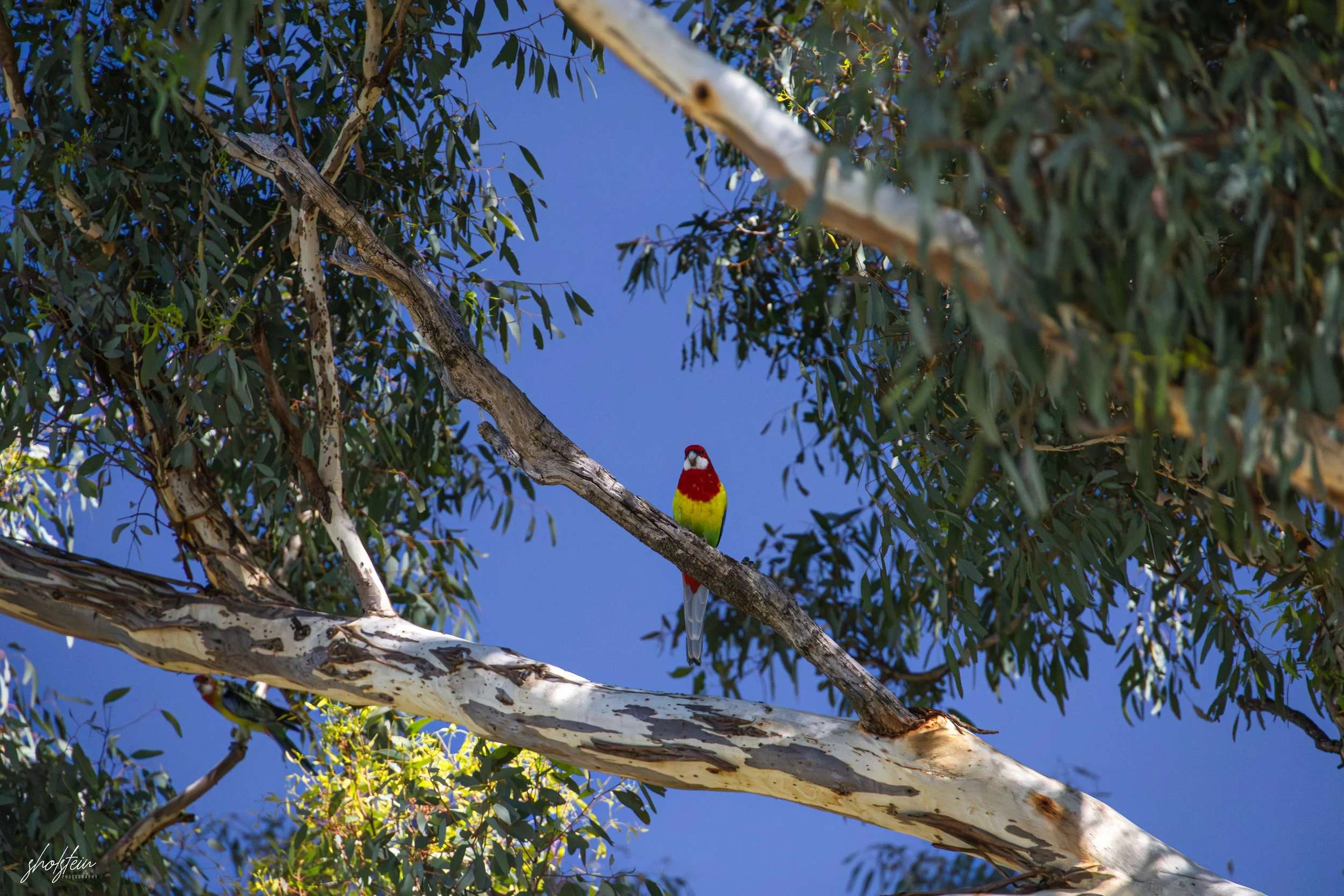 Bathurst 14-3-26-1-39-l.jpg