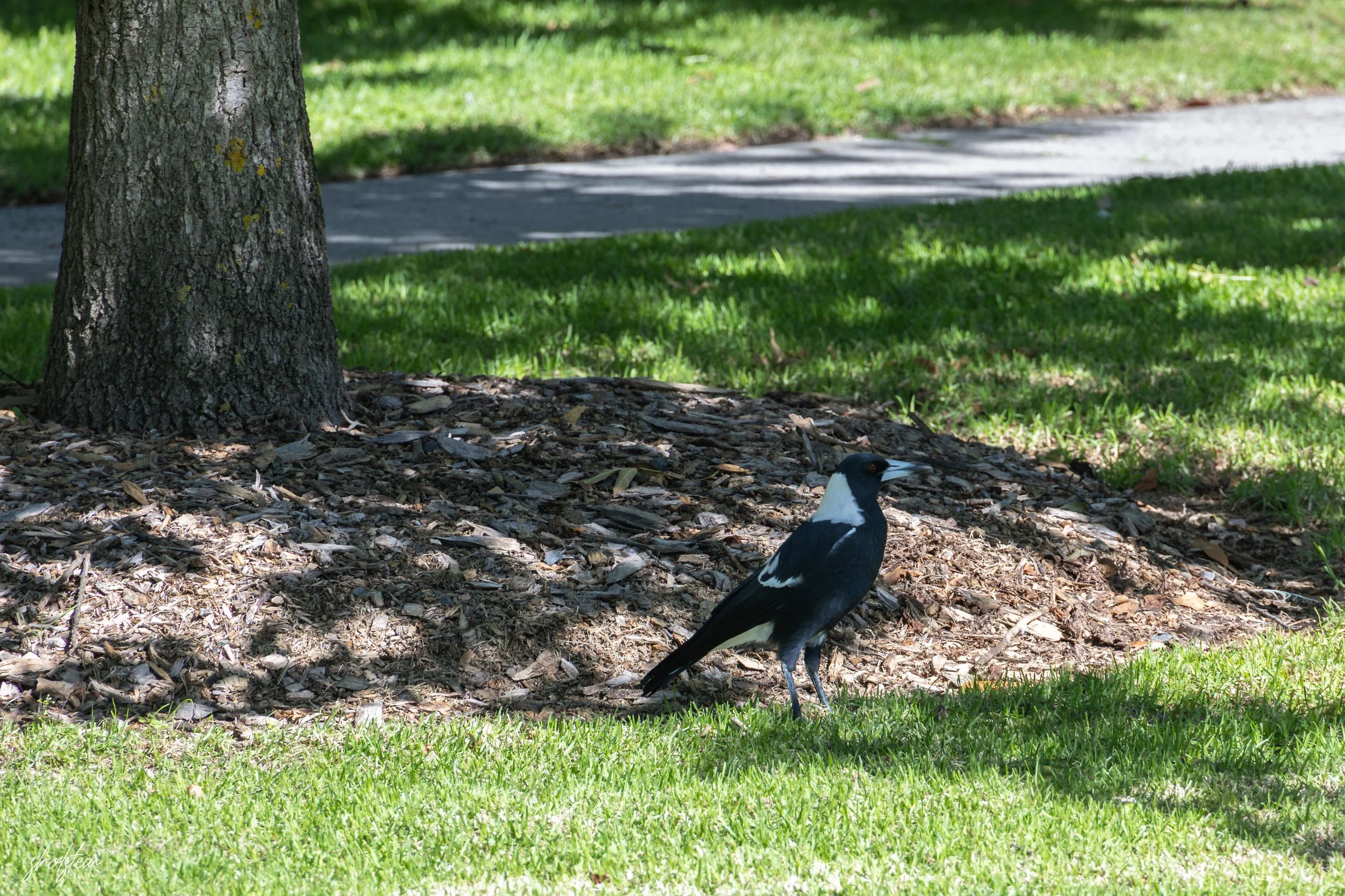 Bathurst 14-3-26-1-3-l.jpg