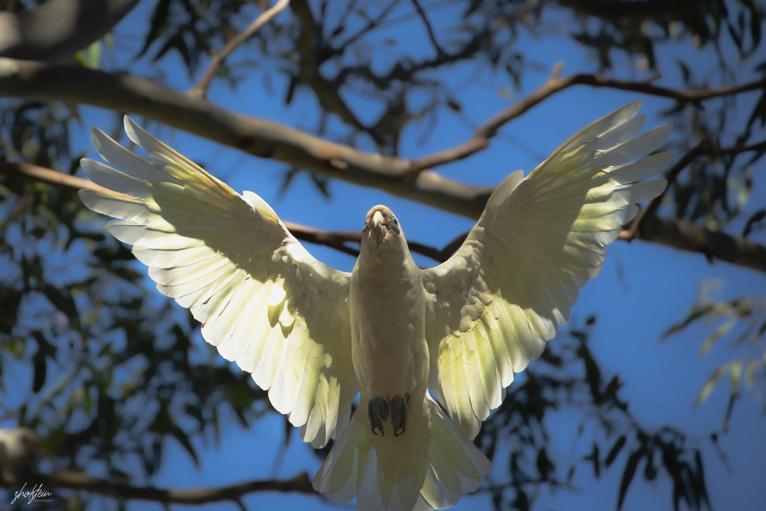 Bathurst 14-3-26-1-14-l.jpg