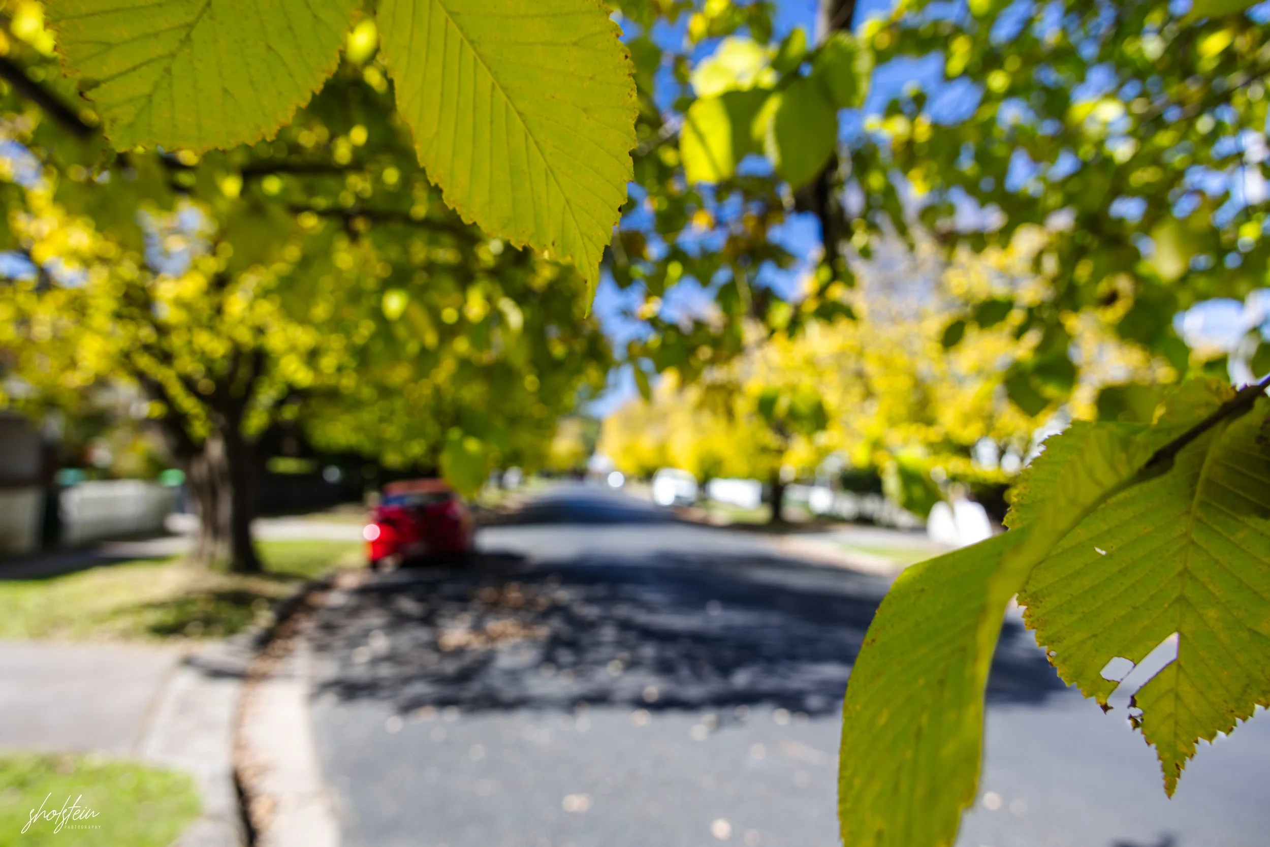 Bowral-Mittagong 26-4-26-1-7-l.jpg