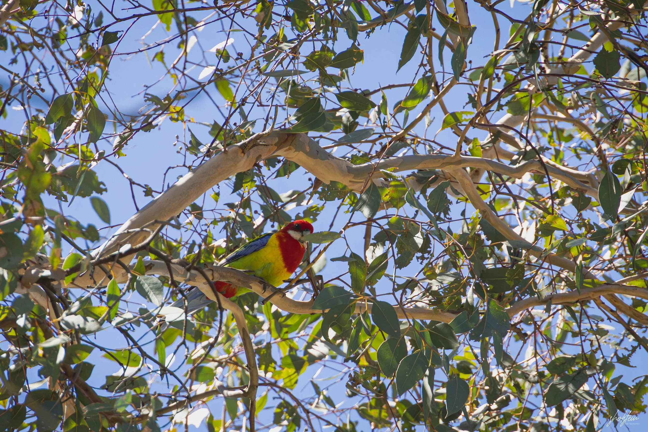 Bathurst 14-3-26-1-28-l.jpg