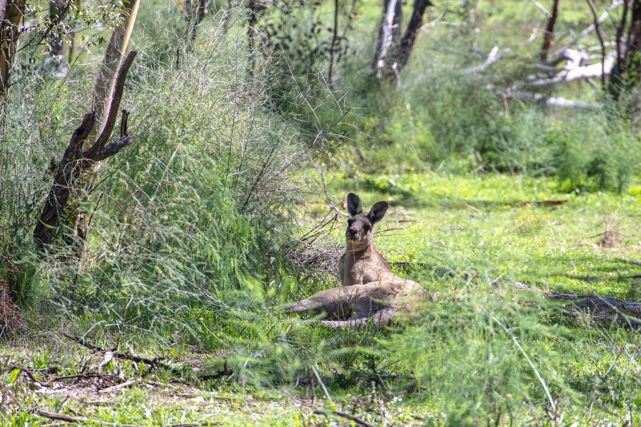 Bathurst 14-3-26-1-31-l.jpg