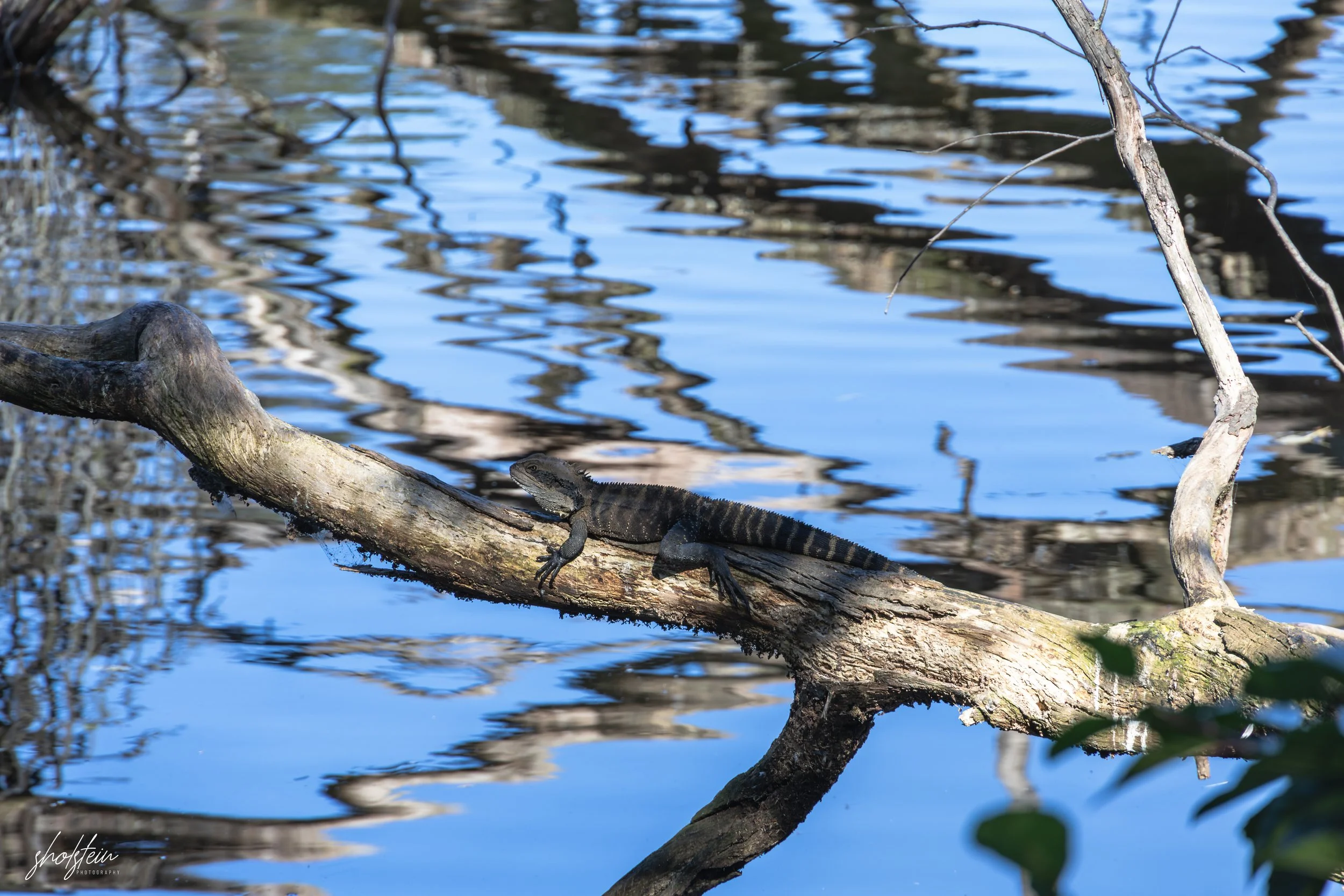 Bowral-Mittagong 26-4-26-1-20-l.jpg