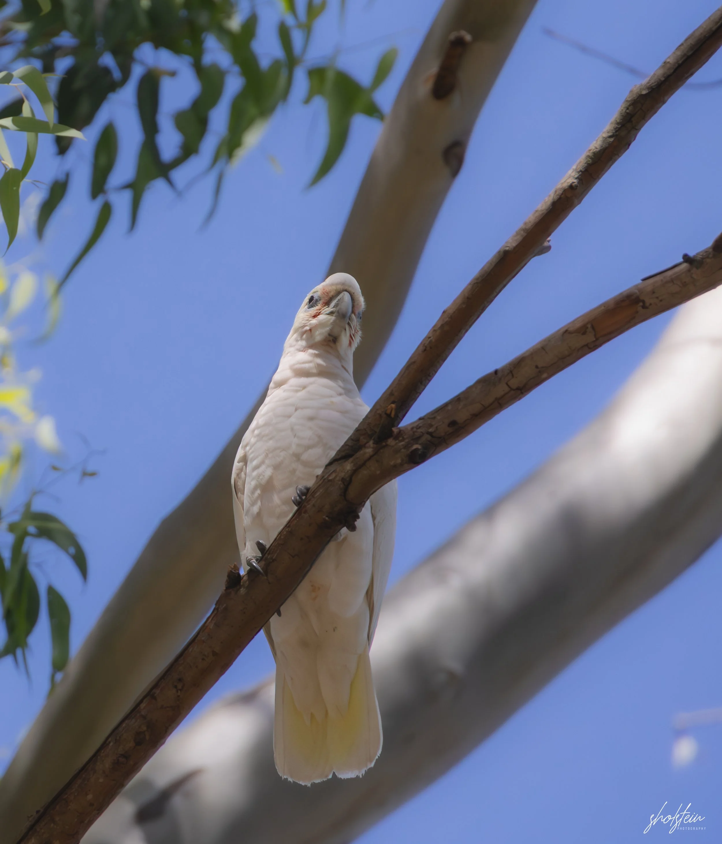 Bathurst 14-3-26-1-12-l.jpg