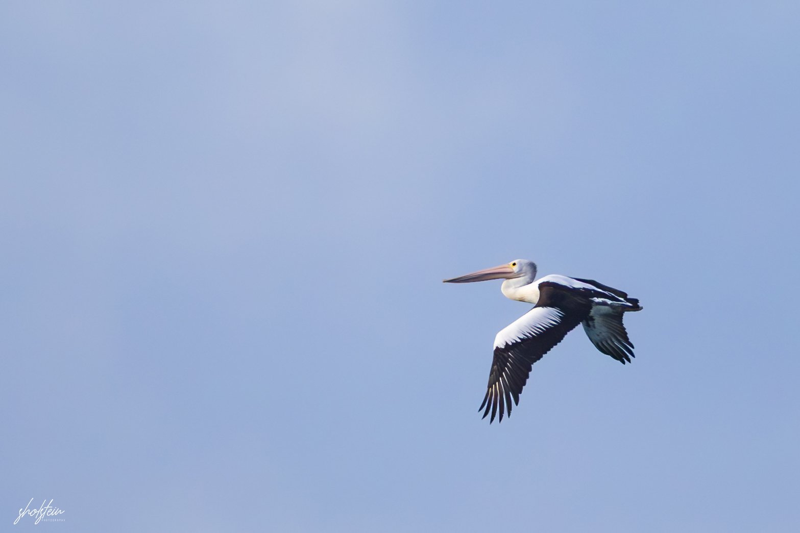 Gerringong 5-7-26-1-19-l.jpg