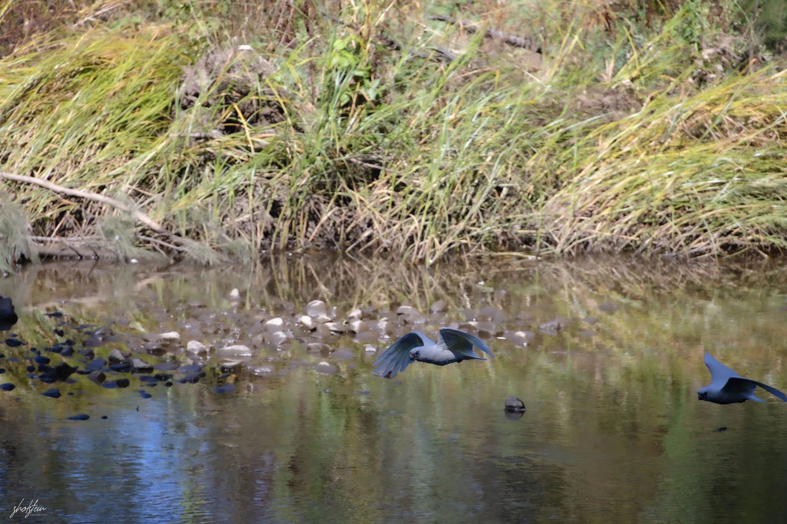 Bathurst 14-3-26-1-8-l.jpg