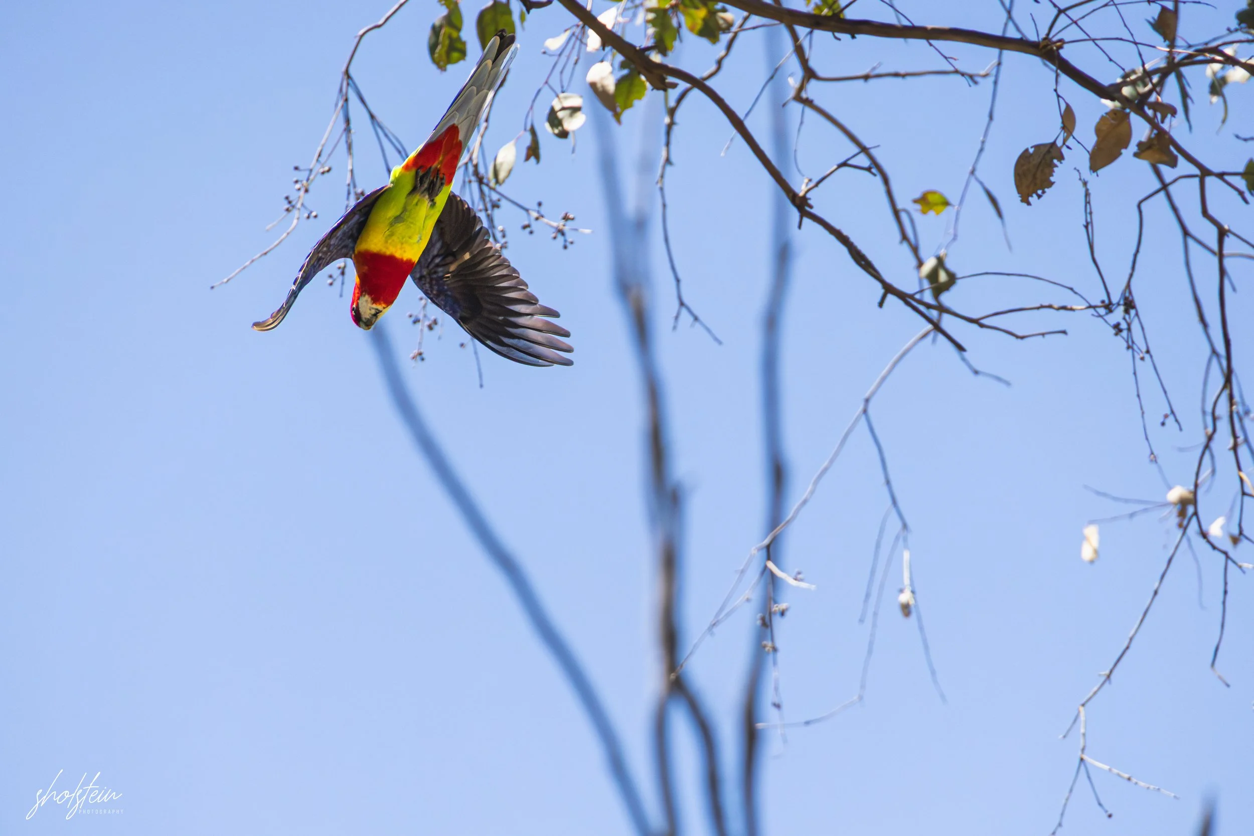 Bathurst 14-3-26-1-26-l.jpg