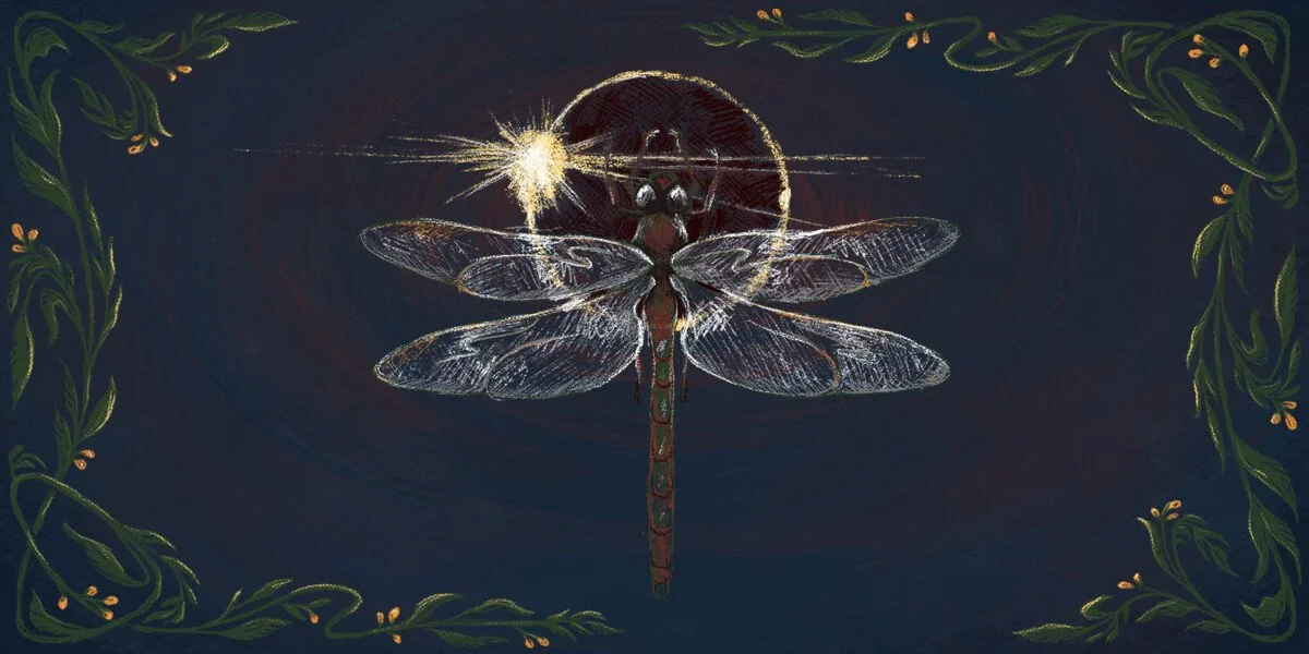 NYMPH - Adelaide Fringe Review