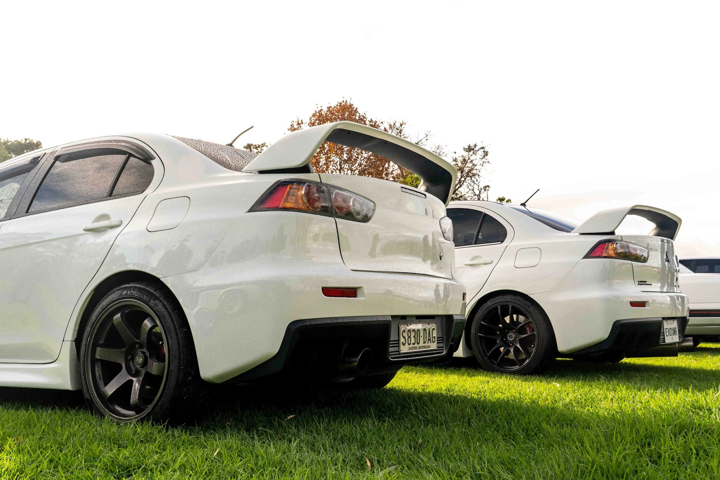 Vic Park Pitstop Apr 2025-3.jpg